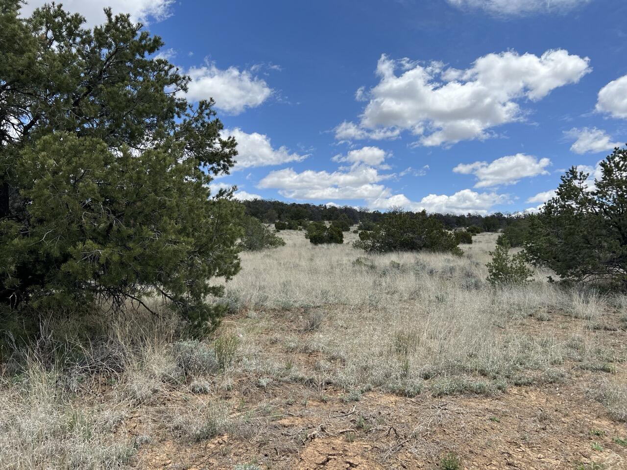 Lot 306 Edgewood Drive, Ramah, New Mexico image 21