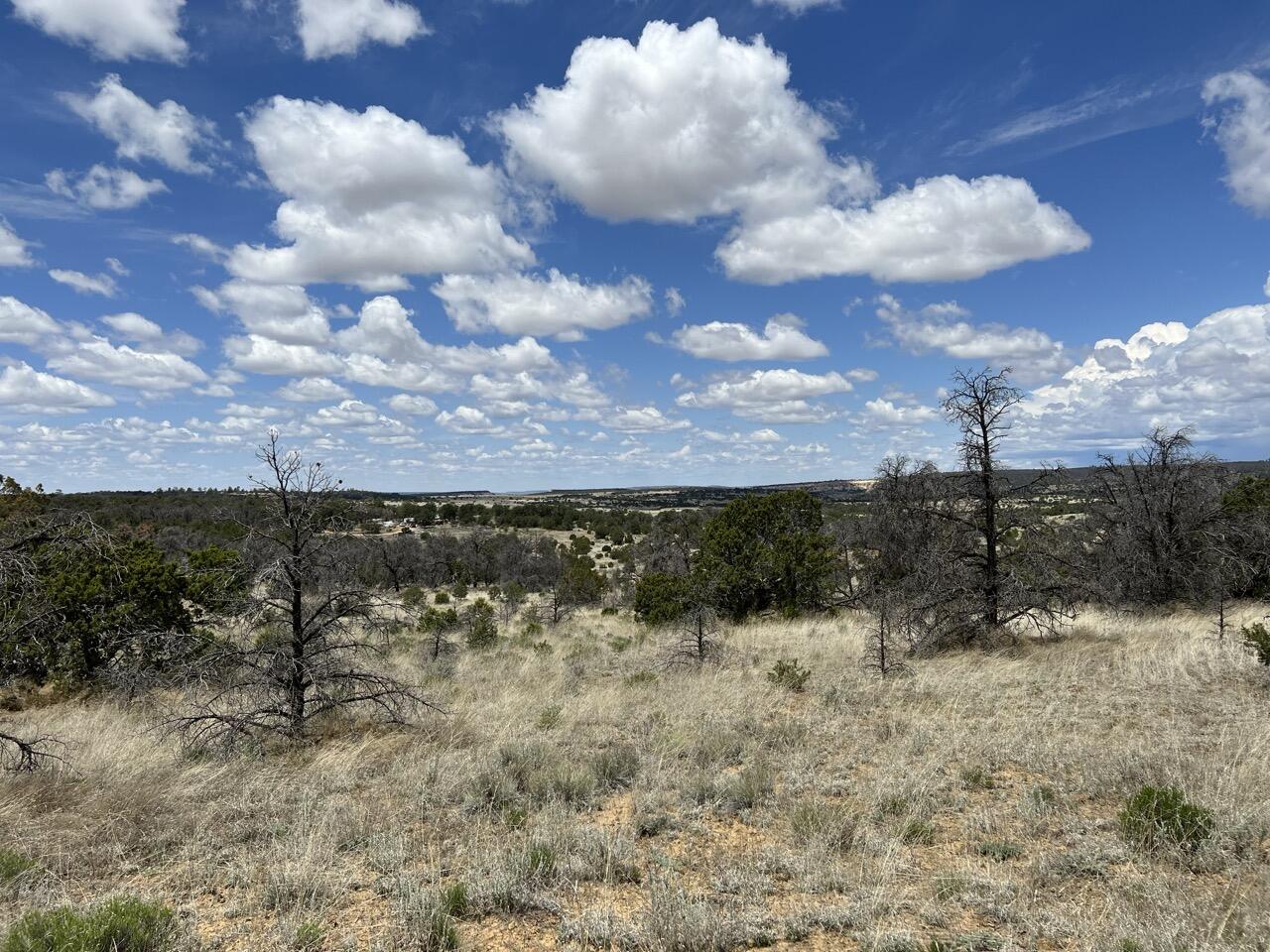 Lot 306 Edgewood Drive, Ramah, New Mexico image 16