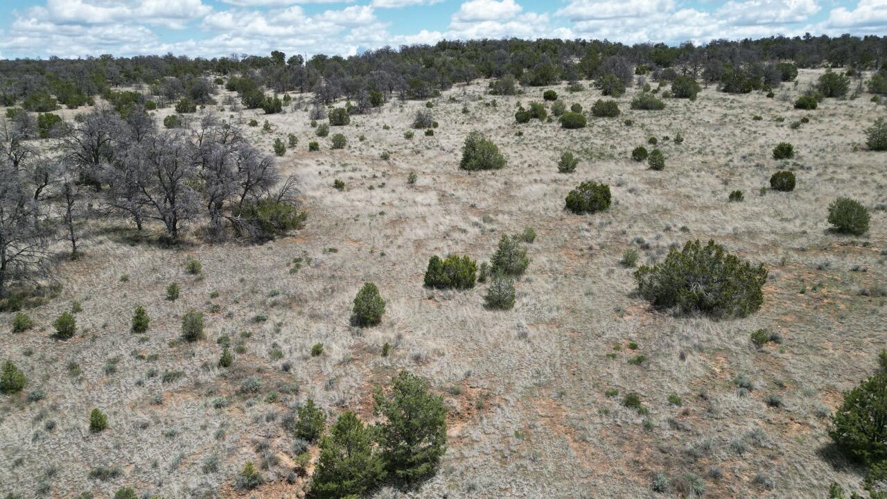 Lot 306 Edgewood Drive, Ramah, New Mexico image 27