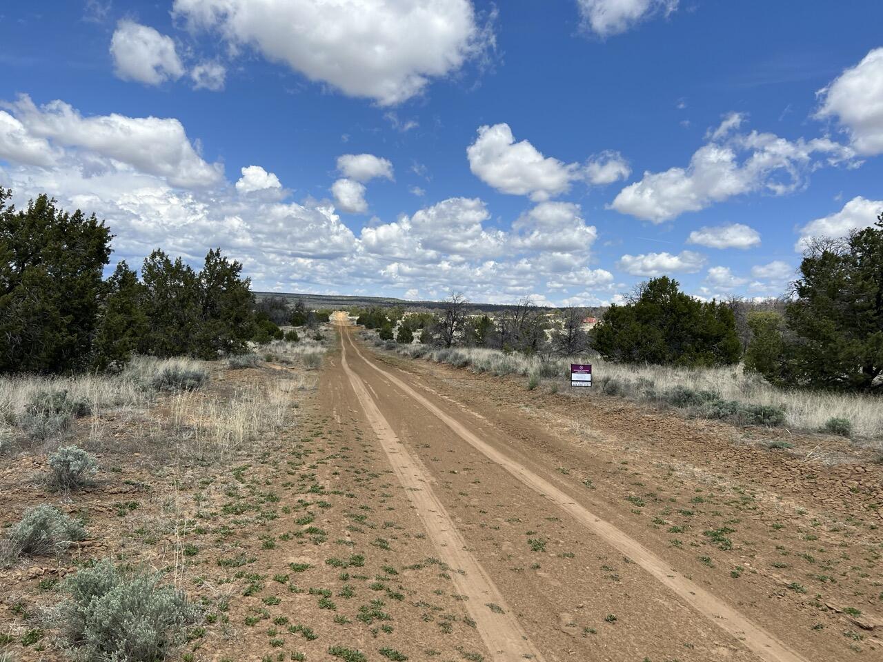 Lot 306 Edgewood Drive, Ramah, New Mexico image 23