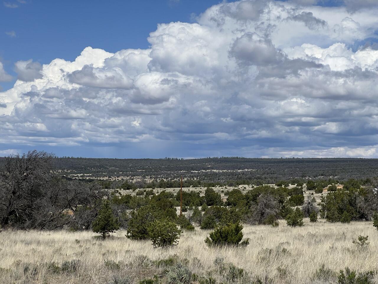 Lot 306 Edgewood Drive, Ramah, New Mexico image 5