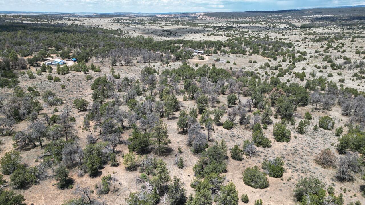 Lot 306 Edgewood Drive, Ramah, New Mexico image 30