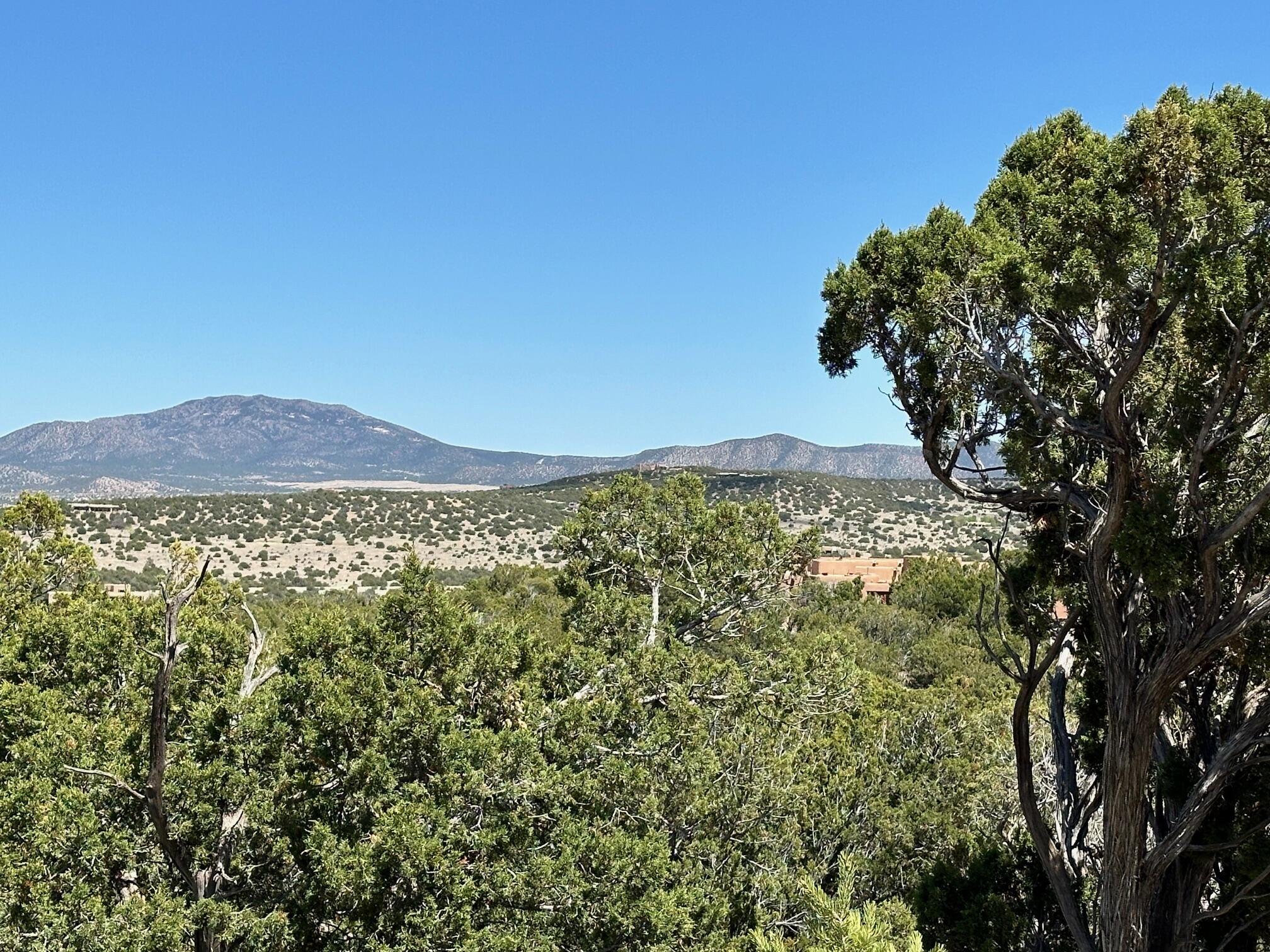 14 Osito Road, Sandia Park, New Mexico image 4