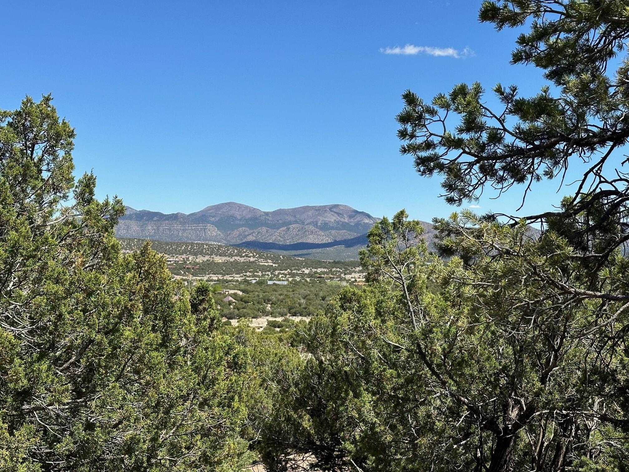 14 Osito Road, Sandia Park, New Mexico image 15