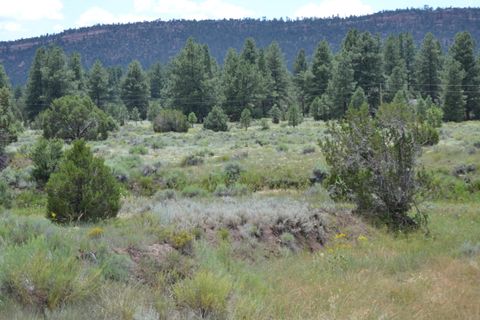 Vacant Land For Sale - Timberlake Ranch<br/> Mckinley County, Ramah, NM 87321