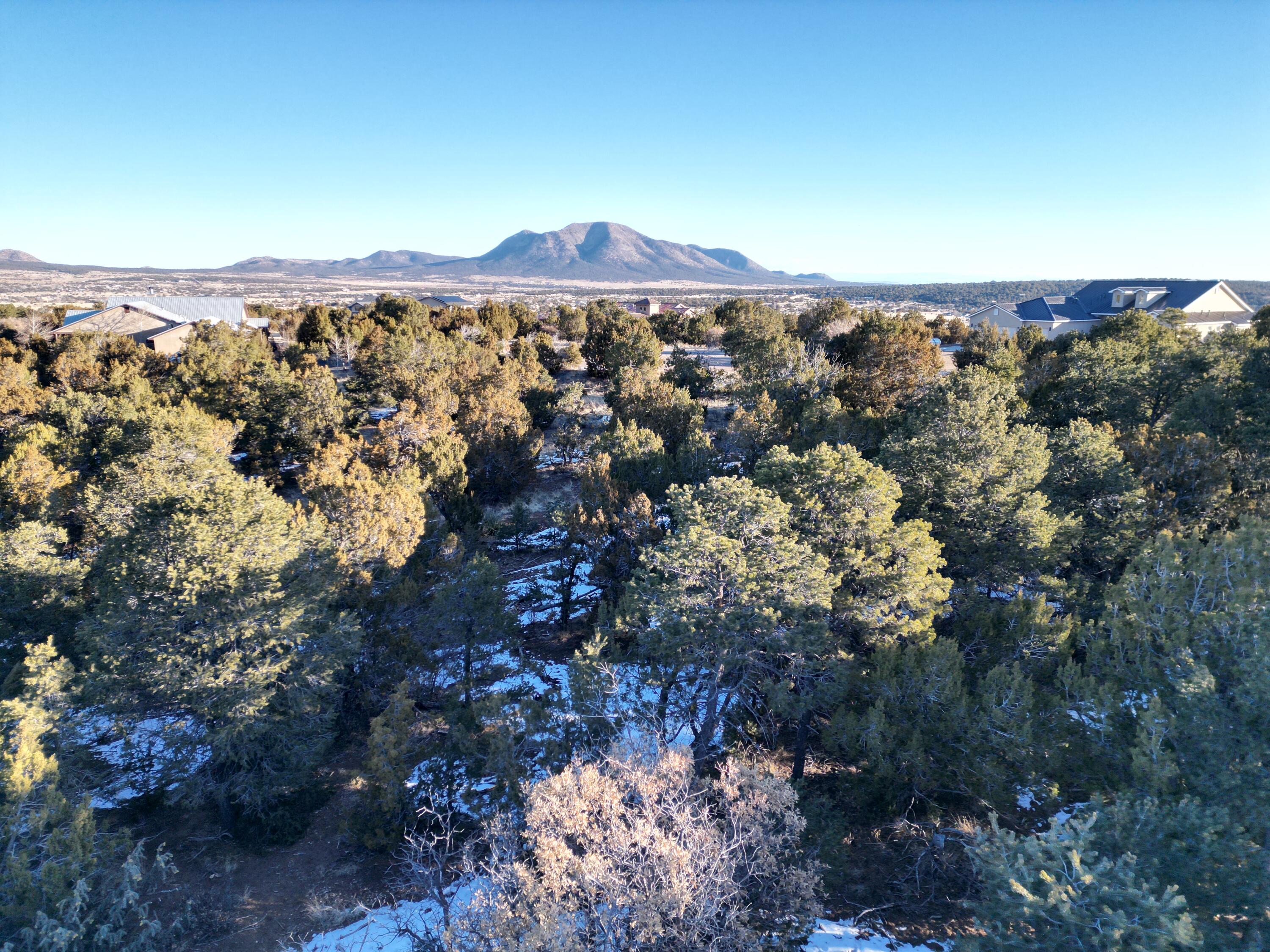 27 Punch Court, Tijeras, New Mexico image 9