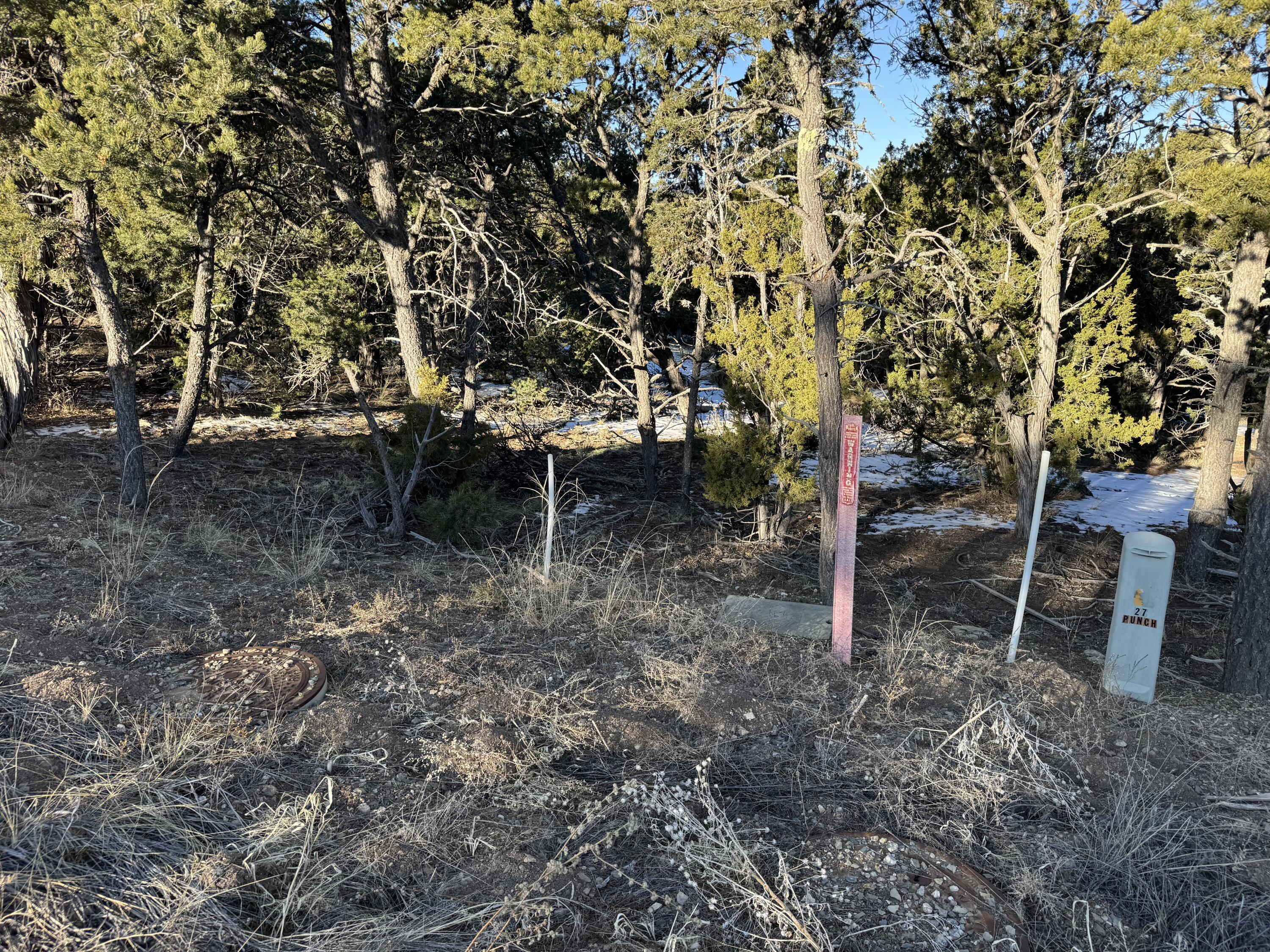 27 Punch Court, Tijeras, New Mexico image 5