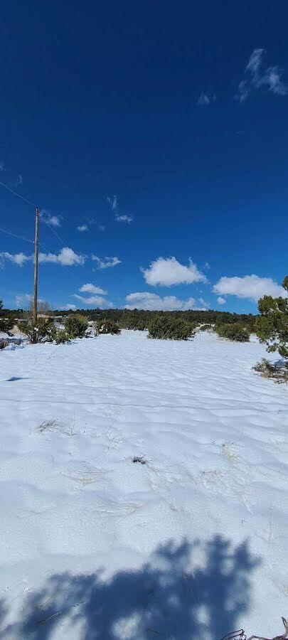 289 Sedillo Hill Road, Tijeras, New Mexico image 1