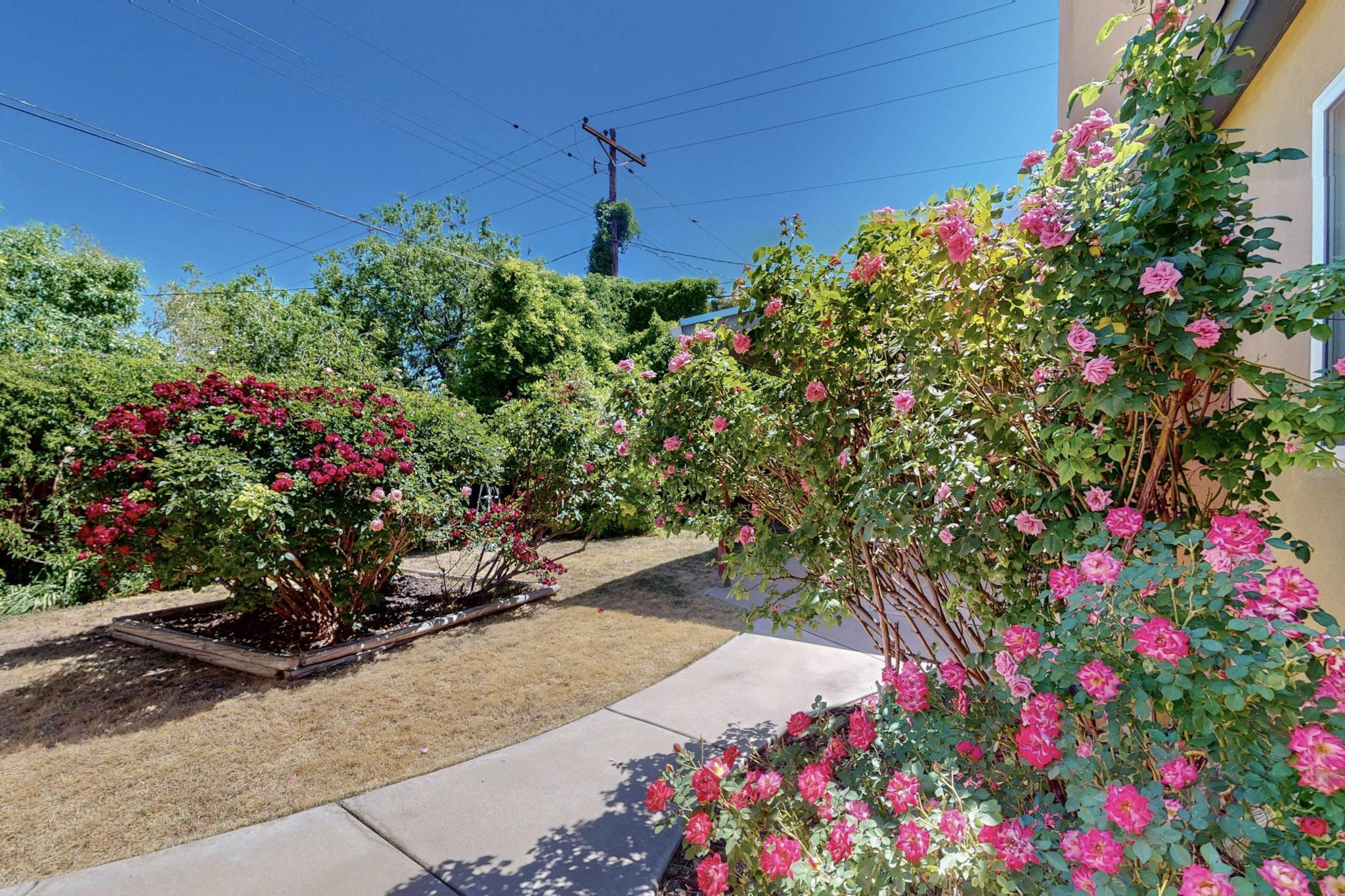 6009 Aspen Avenue, Albuquerque, New Mexico image 38