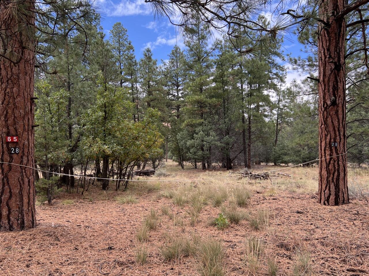 65 Aspen Loop, Ramah, New Mexico image 18