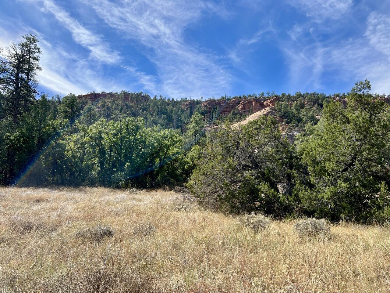 65 Aspen Loop, Ramah, New Mexico image 45