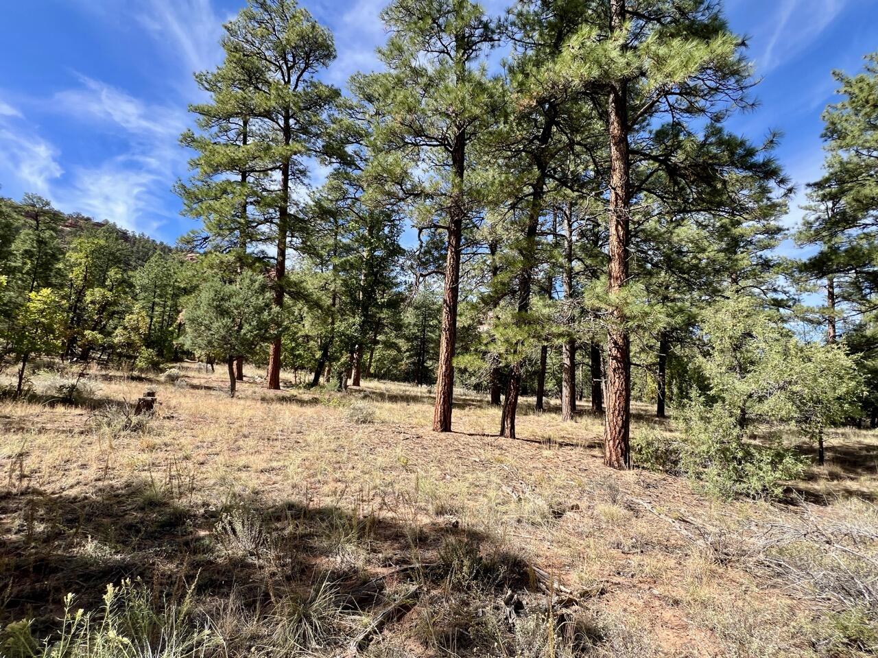 65 Aspen Loop, Ramah, New Mexico image 31