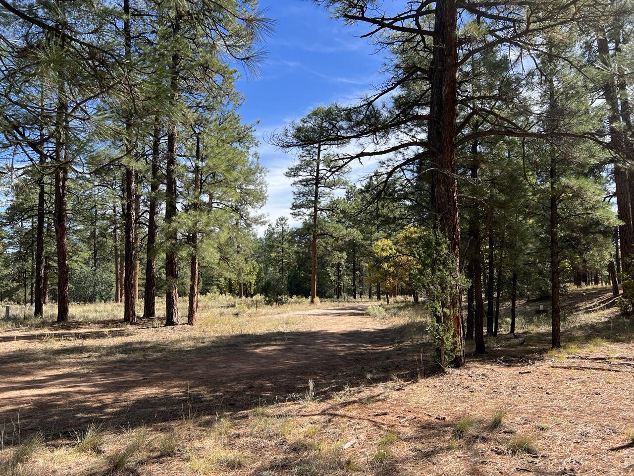 65 Aspen Loop, Ramah, New Mexico image 34