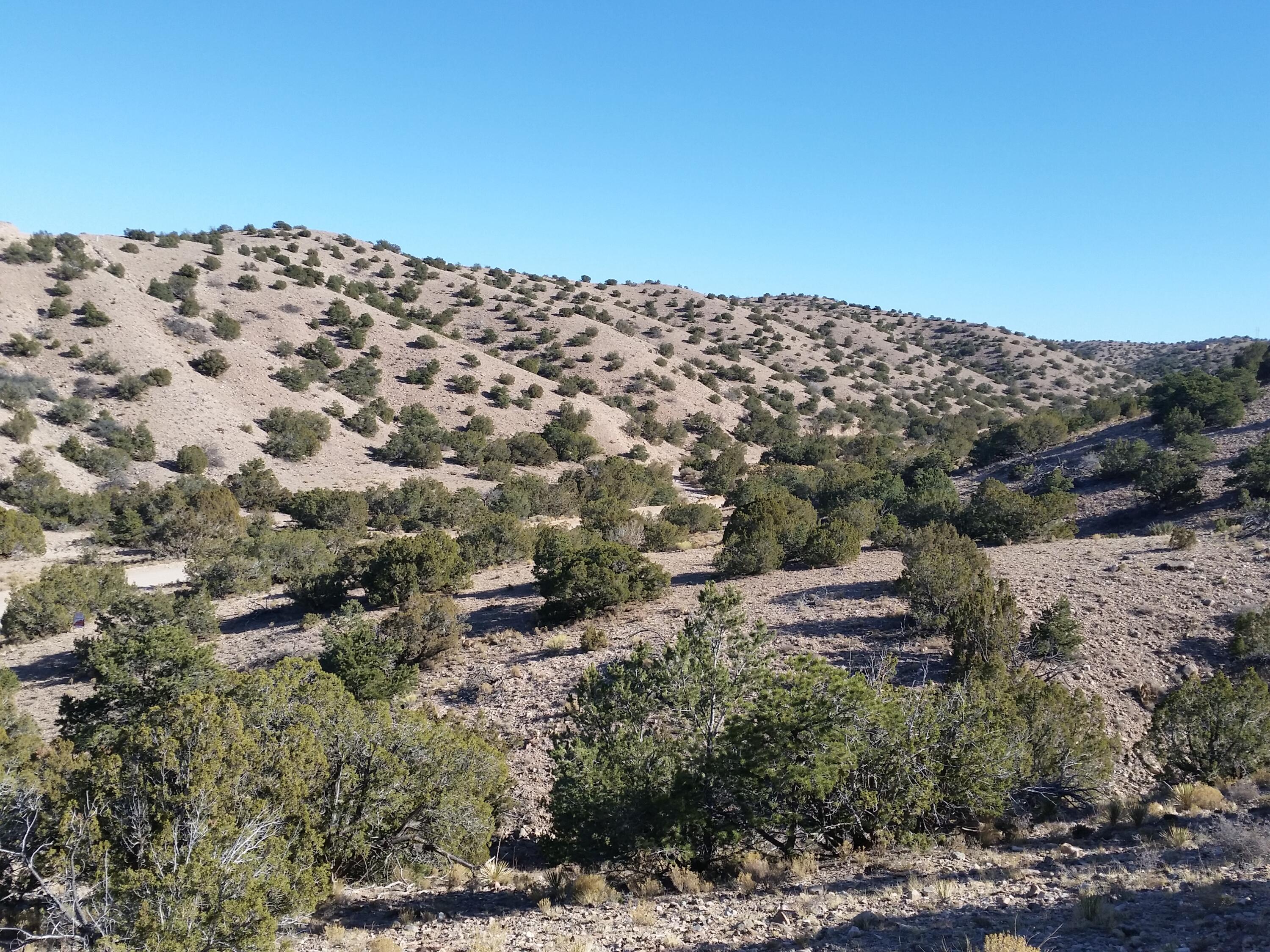 18 Camino Halcon, Placitas, New Mexico image 1