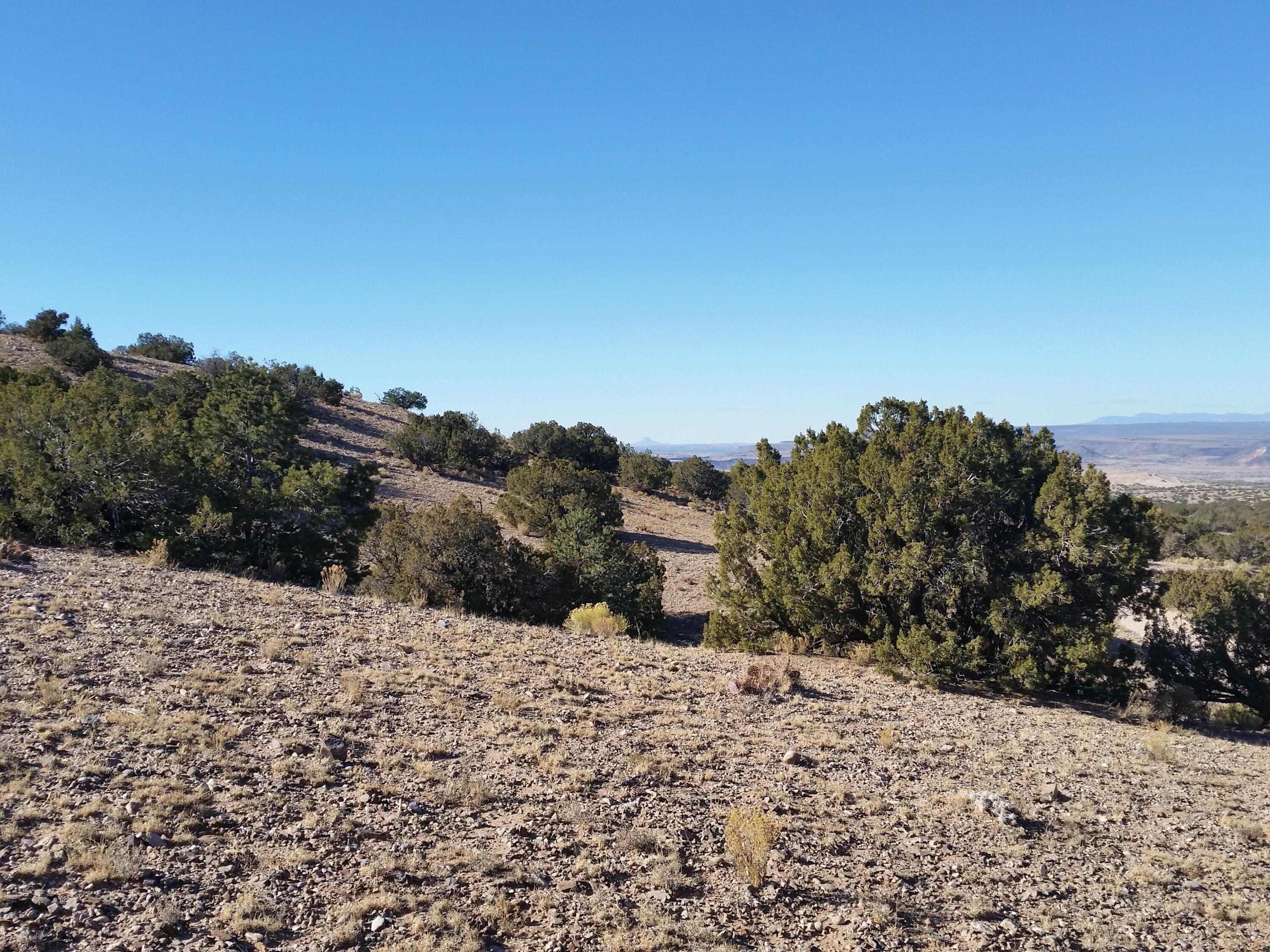 18 Camino Halcon, Placitas, New Mexico image 7