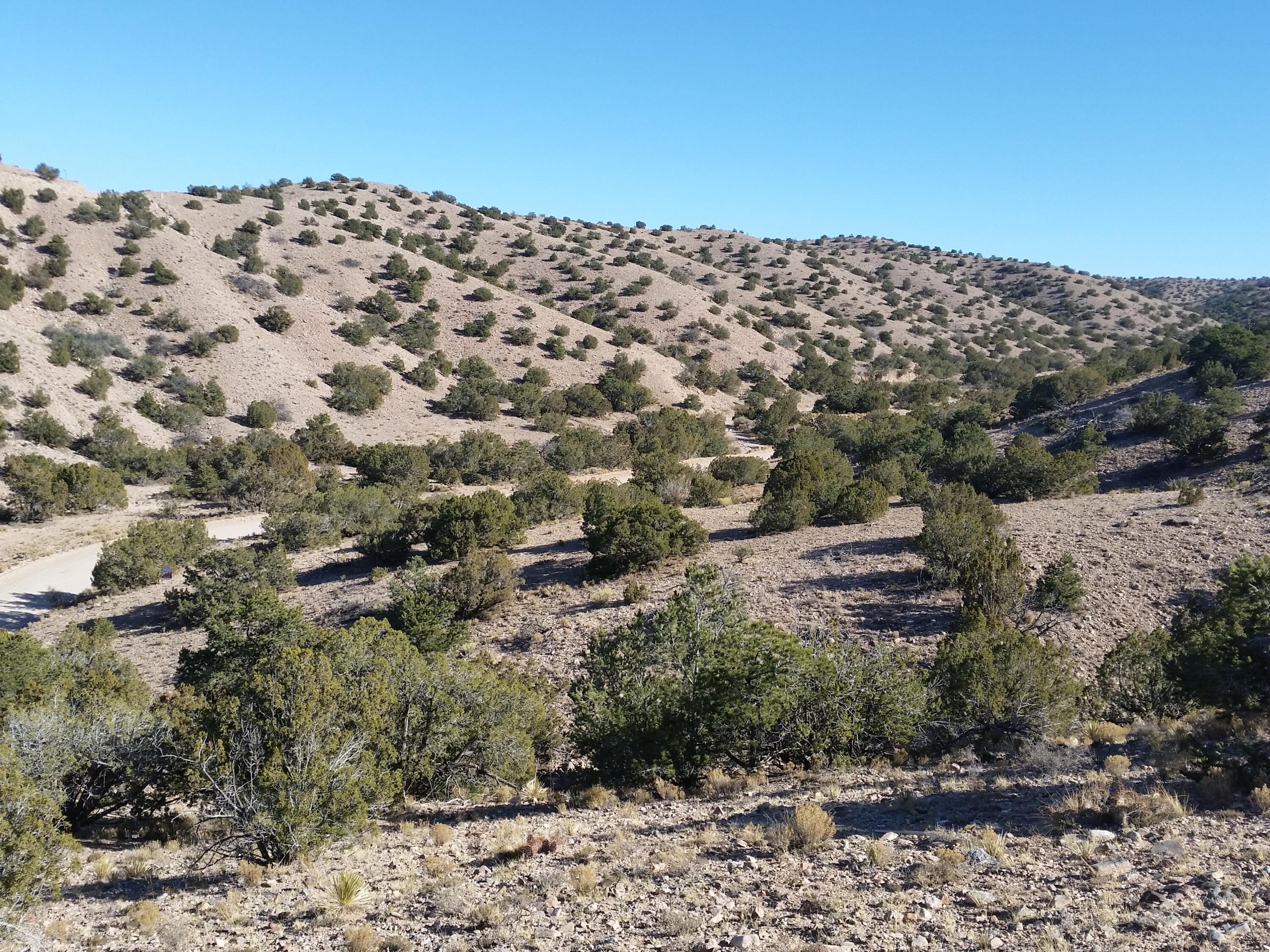 18 Camino Halcon, Placitas, New Mexico image 8