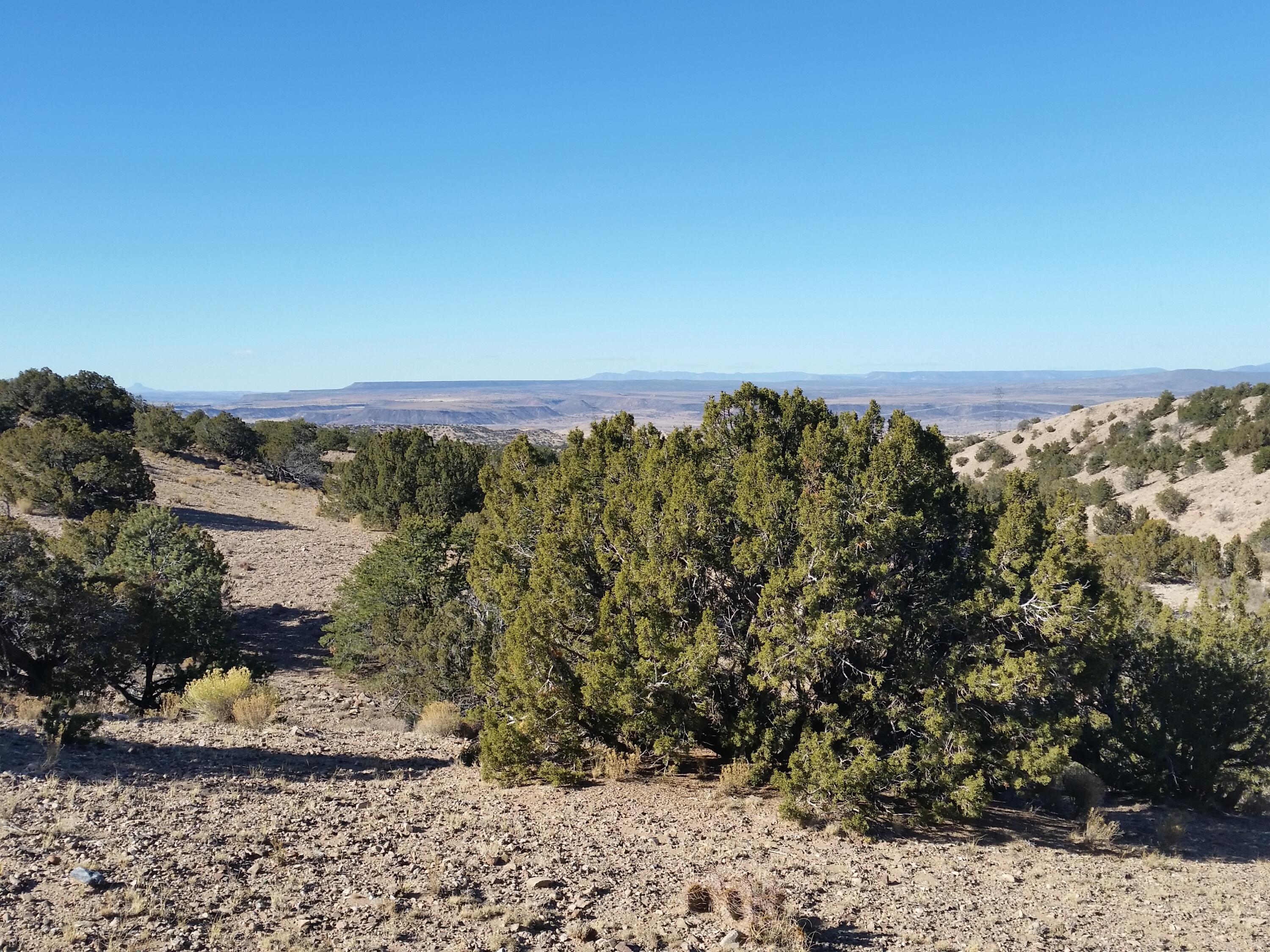 18 Camino Halcon, Placitas, New Mexico image 12