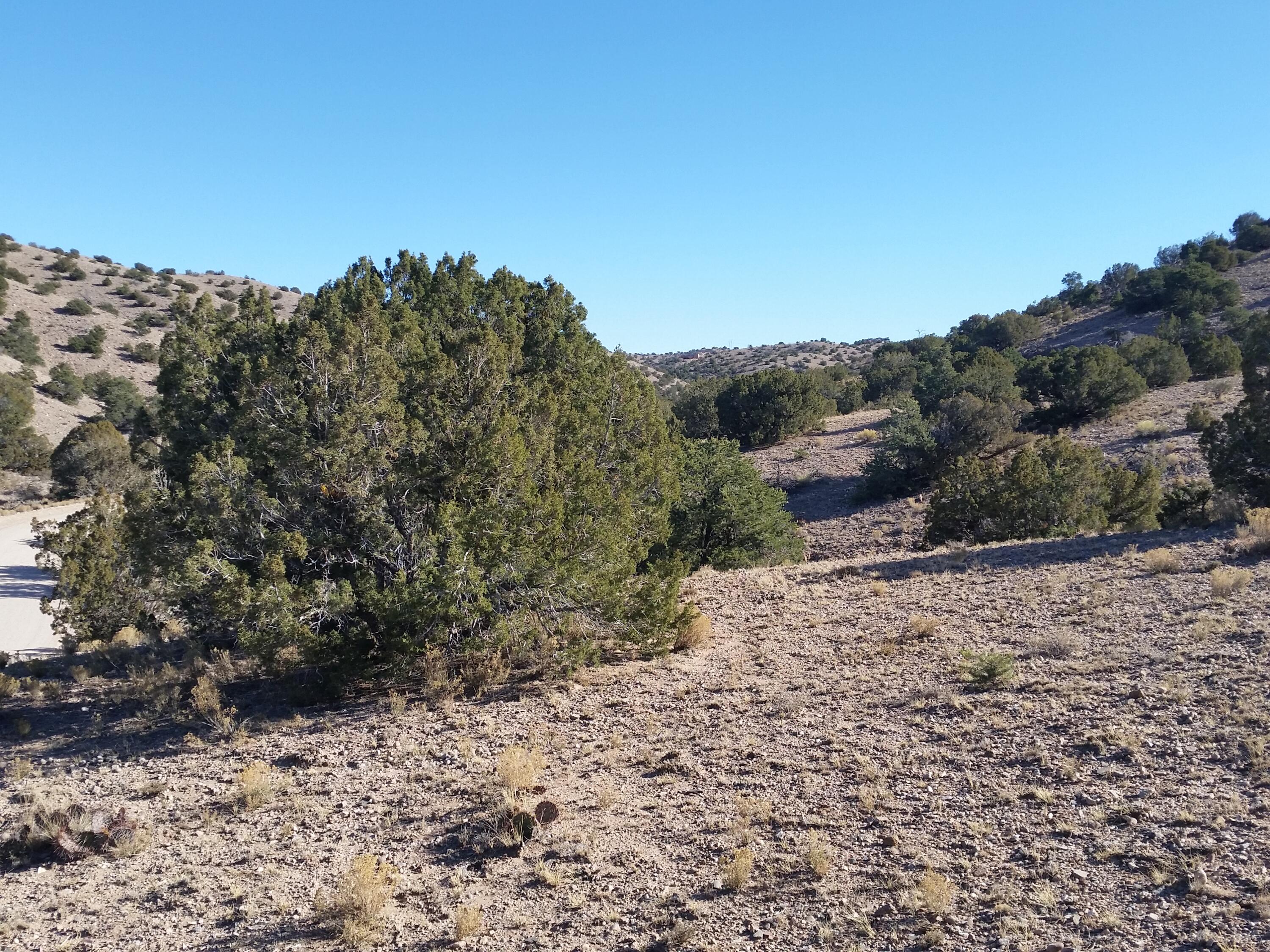 18 Camino Halcon, Placitas, New Mexico image 10