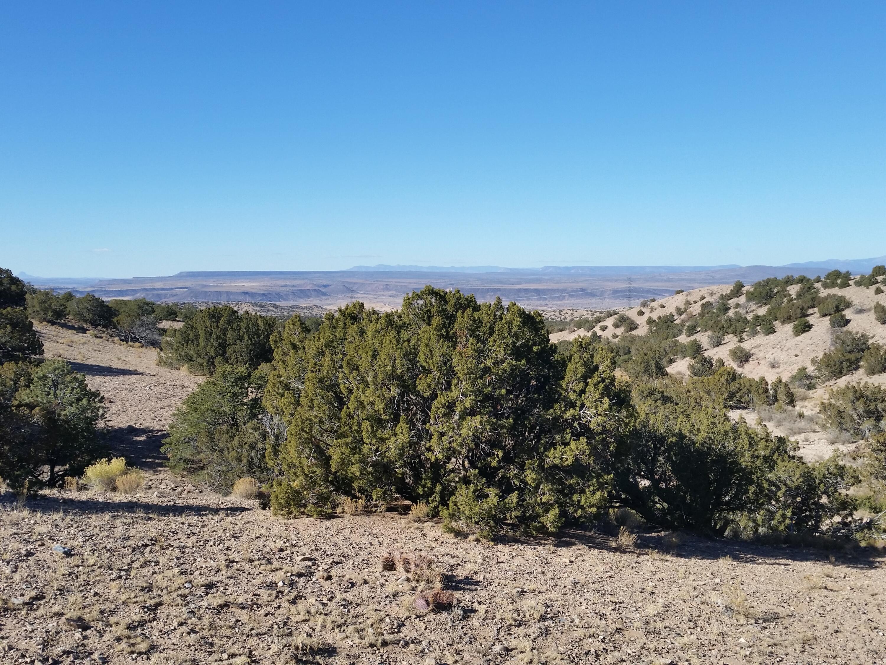 18 Camino Halcon, Placitas, New Mexico image 17