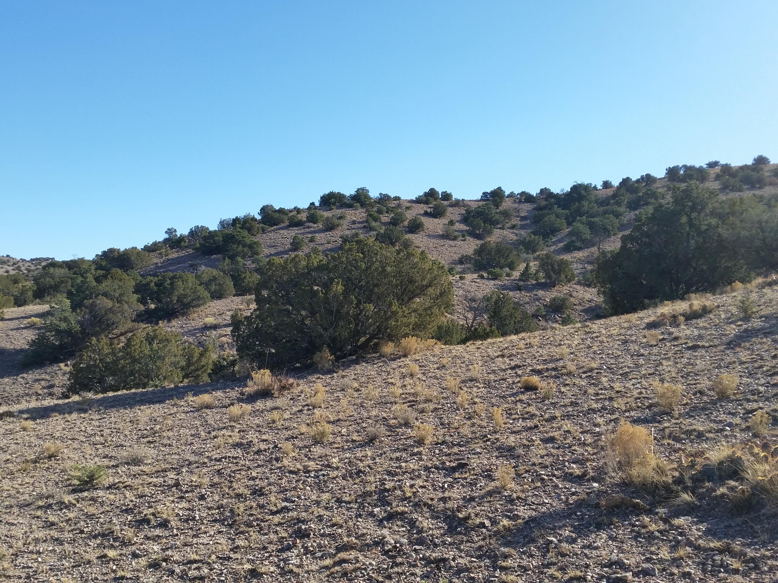 18 Camino Halcon, Placitas, New Mexico image 14