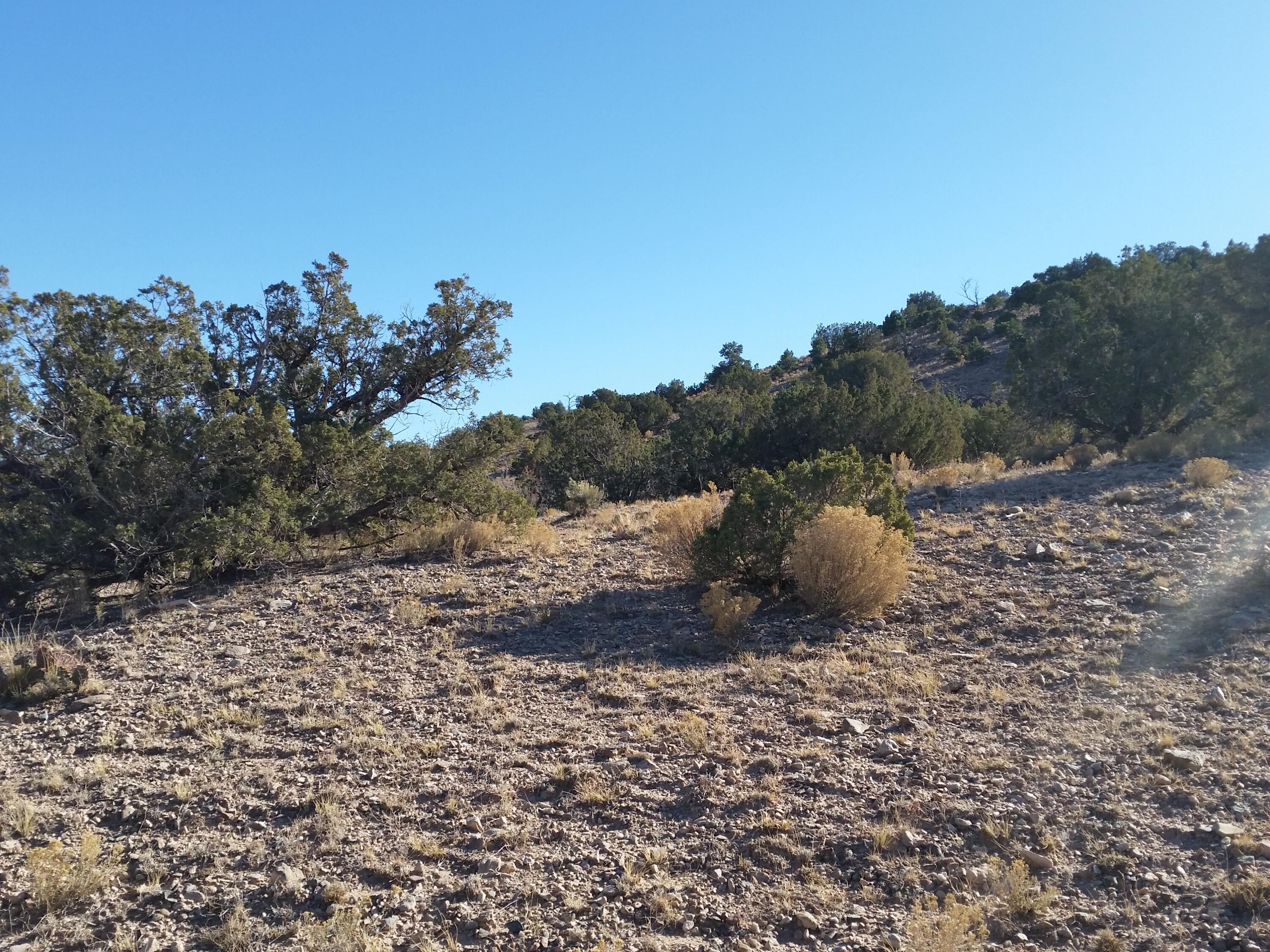 18 Camino Halcon, Placitas, New Mexico image 16