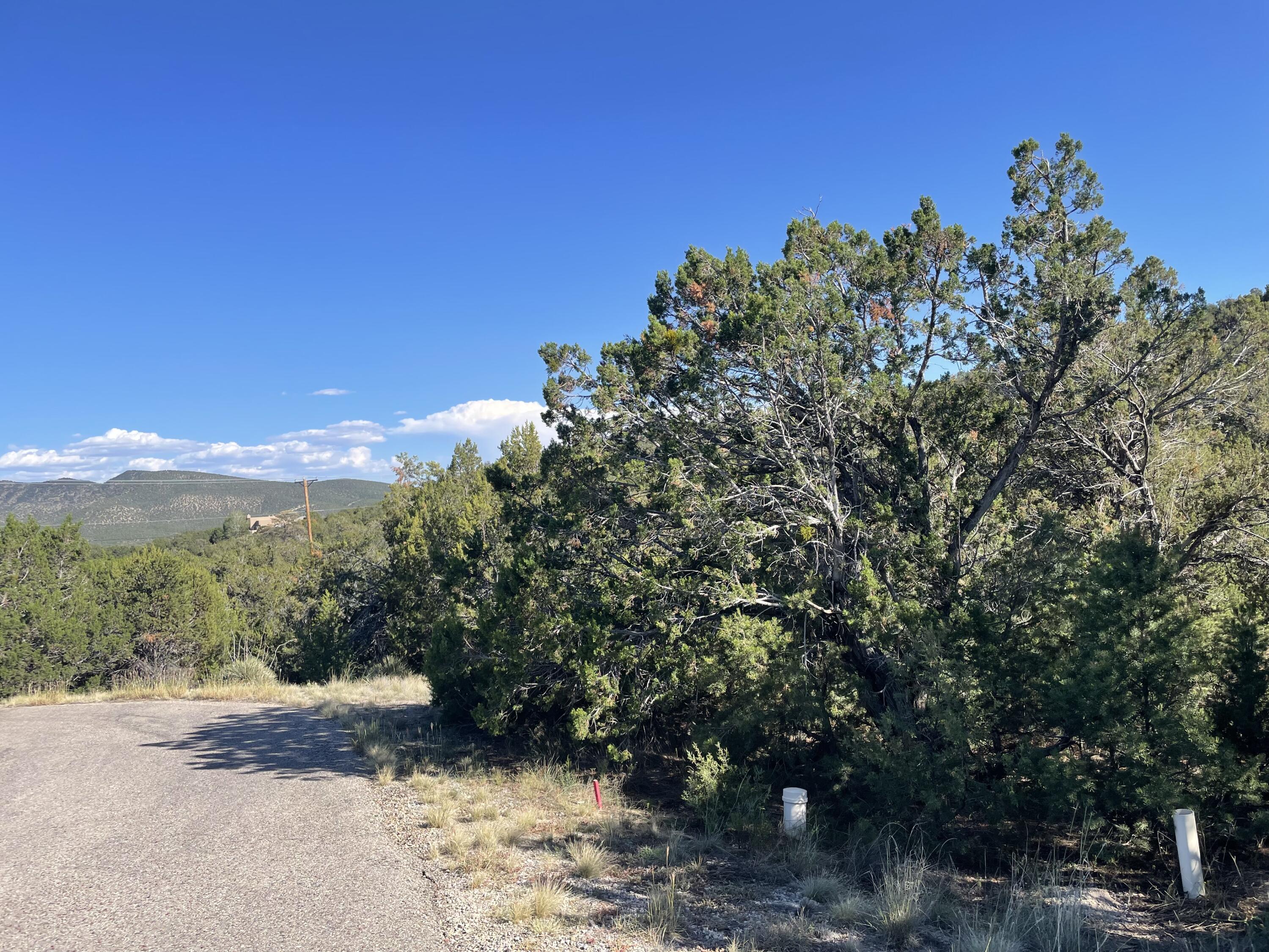 55 Canyon Ridge Drive, Sandia Park, New Mexico image 2