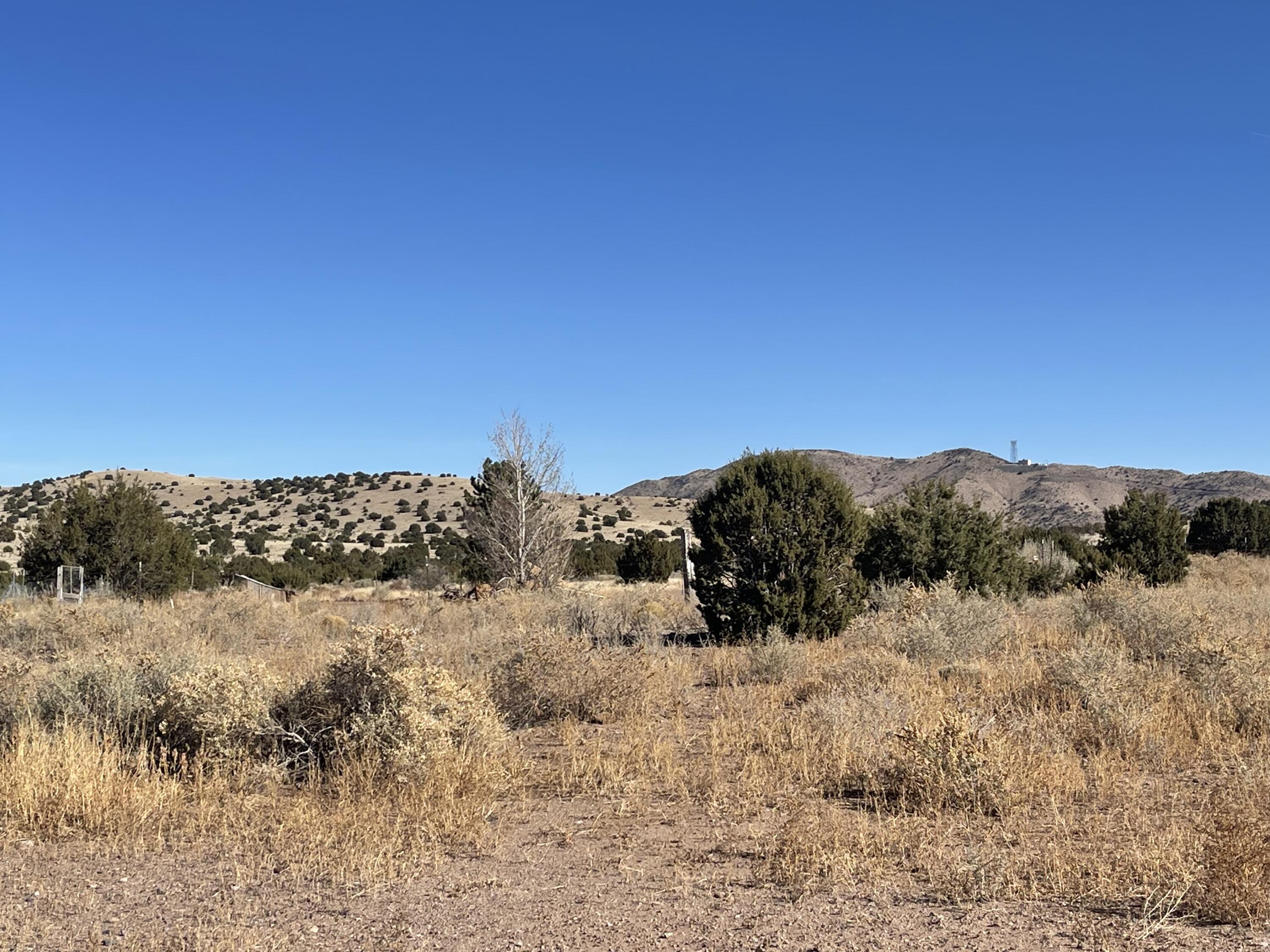 501 N Ash Street, Magdalena, New Mexico image 7