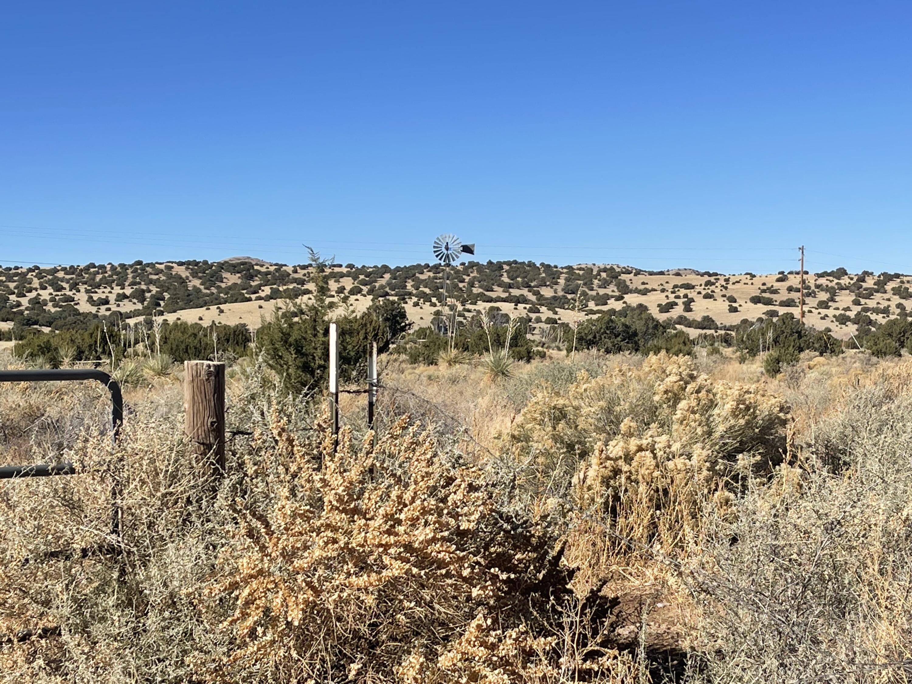 501 N Ash Street, Magdalena, New Mexico image 10