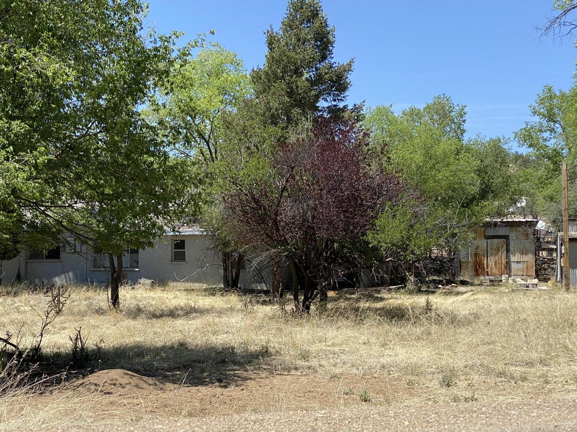 5 Coleman Drive, Silver City, New Mexico image 6