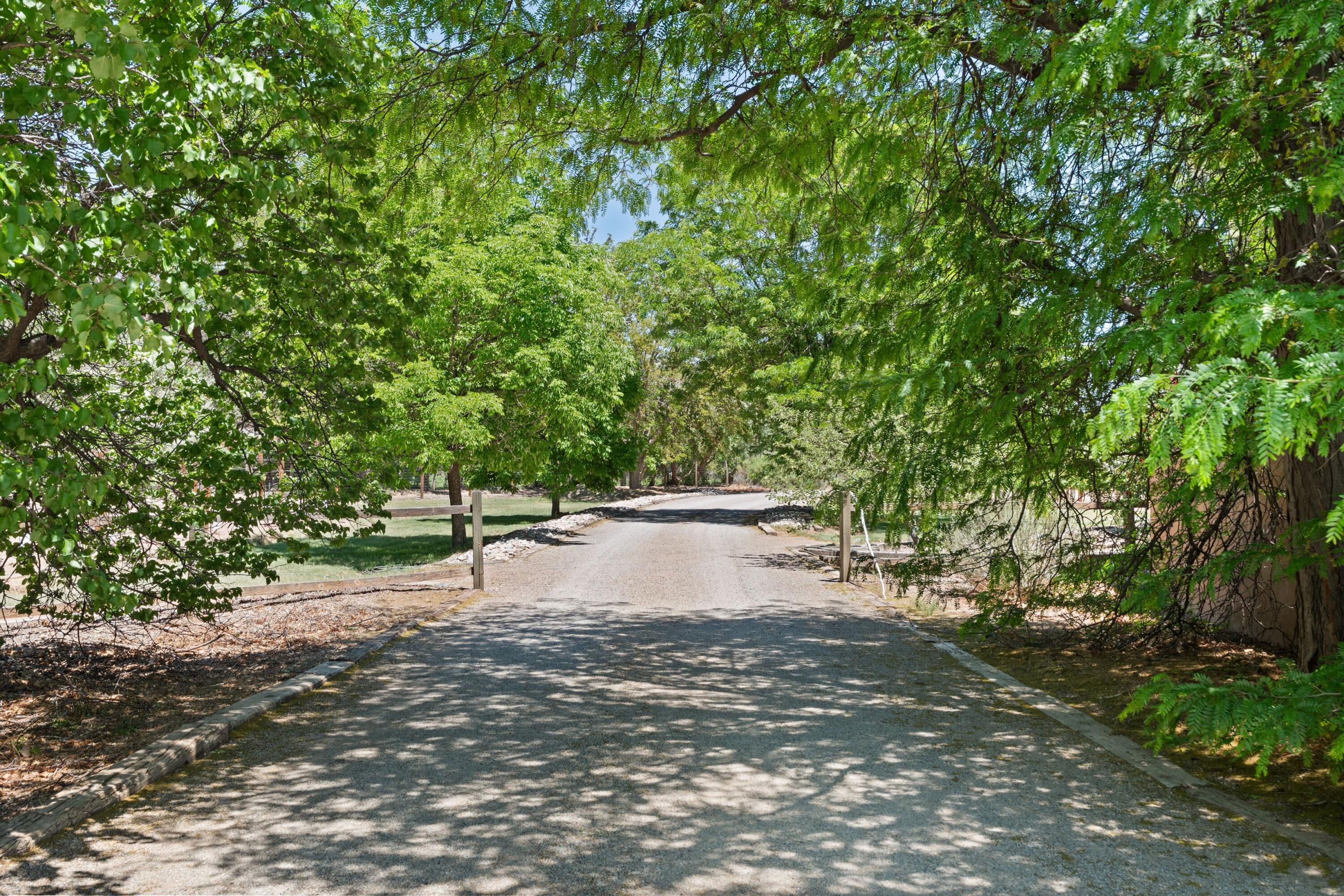 163 Camino Alto, Corrales, New Mexico image 4