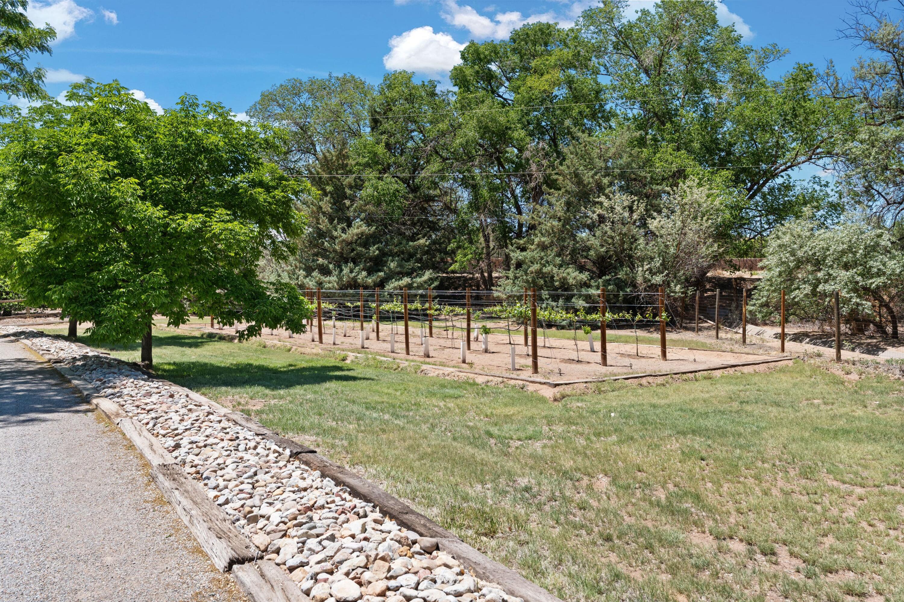 163 Camino Alto, Corrales, New Mexico image 7