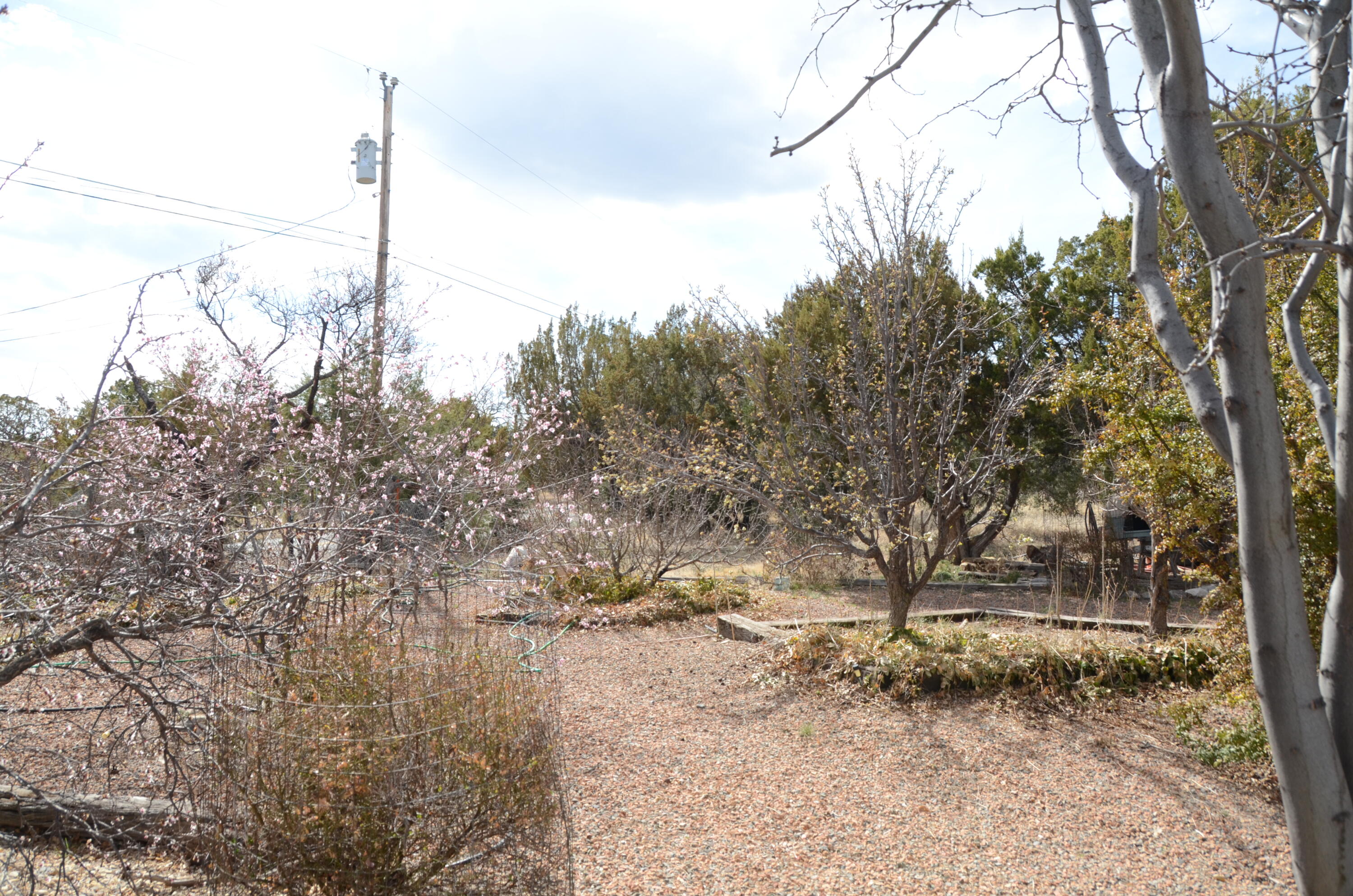 28 Saddlespur Road, Edgewood, New Mexico image 35