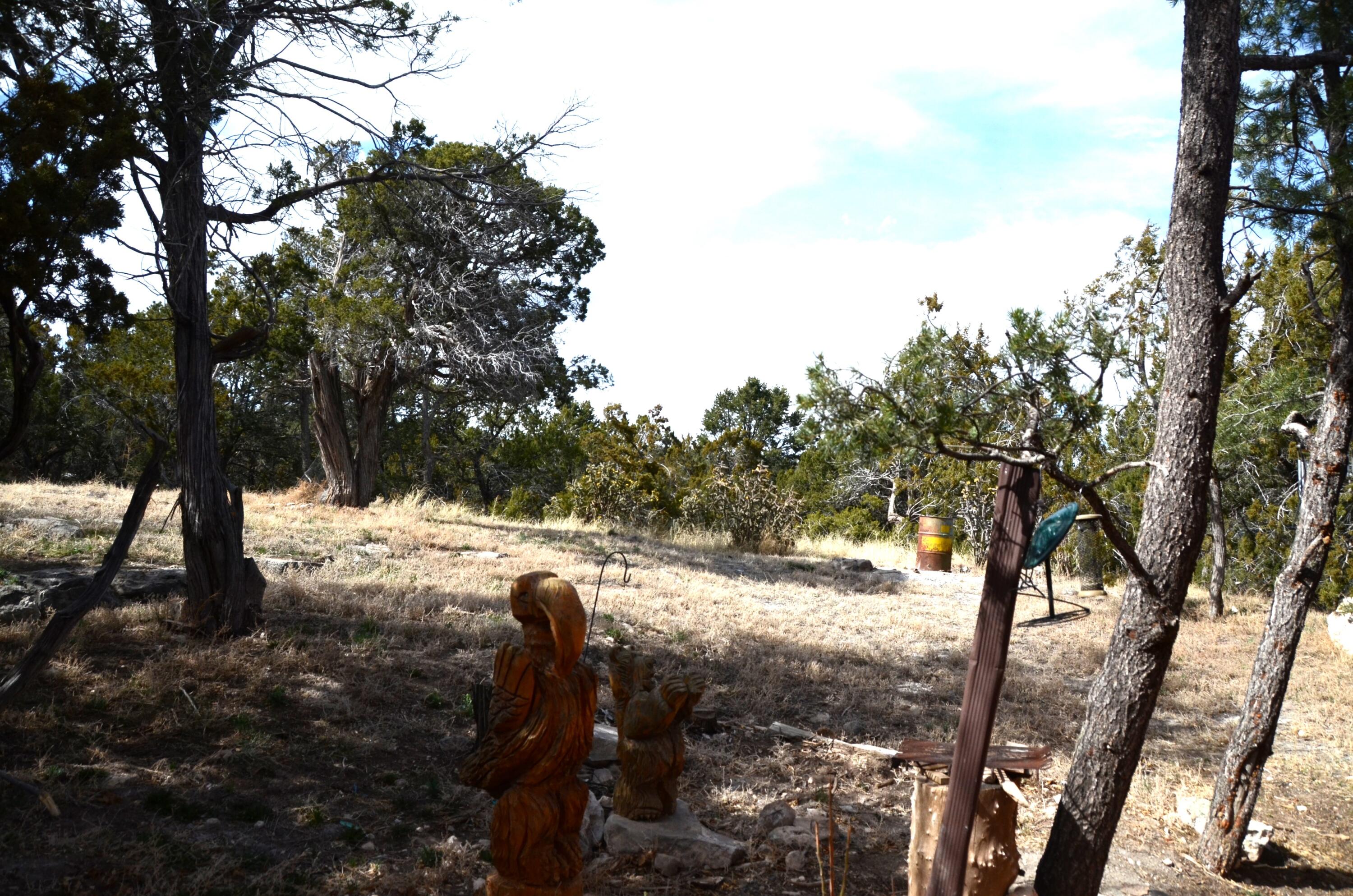 28 Saddlespur Road, Edgewood, New Mexico image 30
