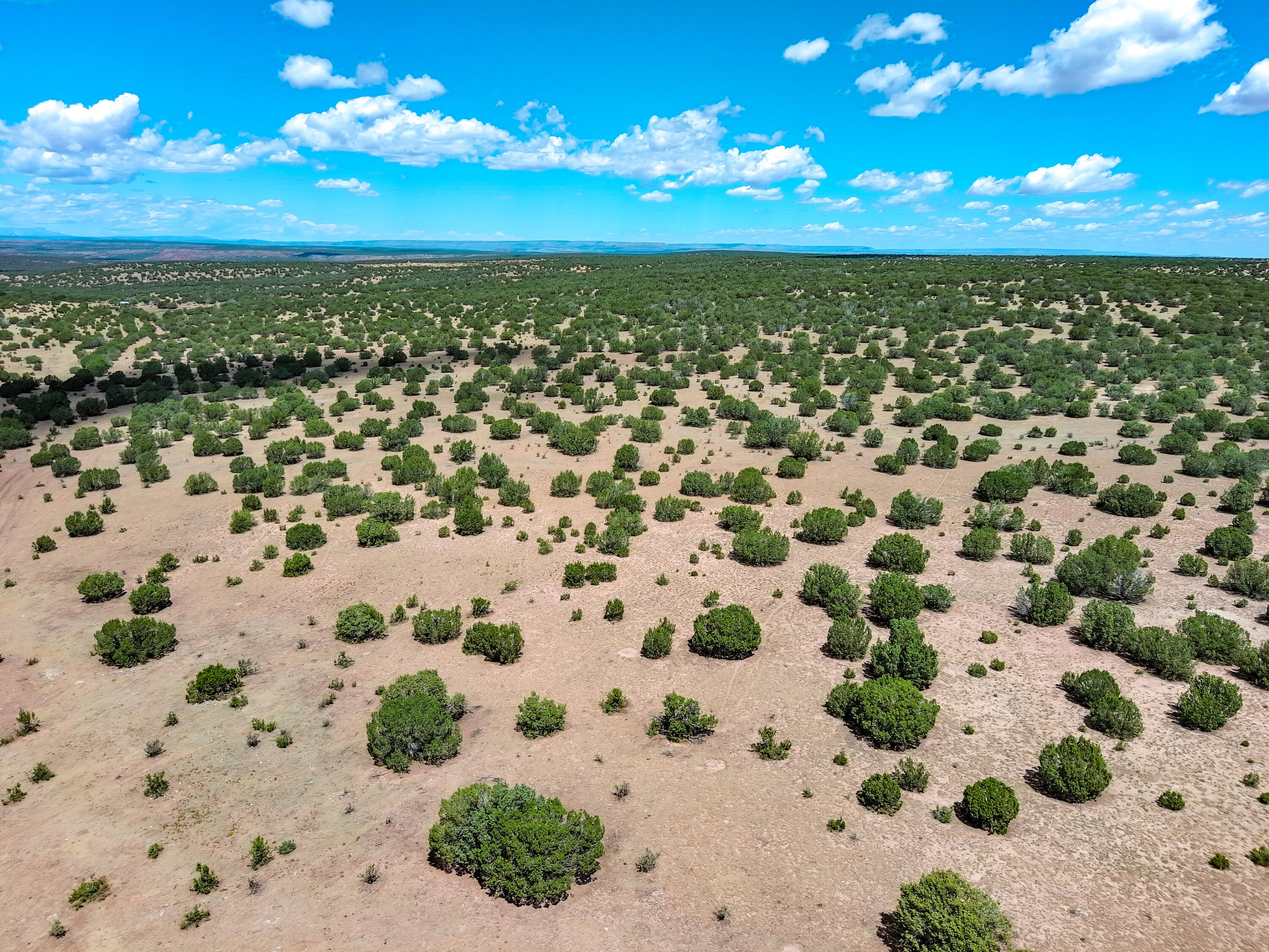 Portrillo Creek Ranch Lot 29, Santa Rosa, New Mexico image 14