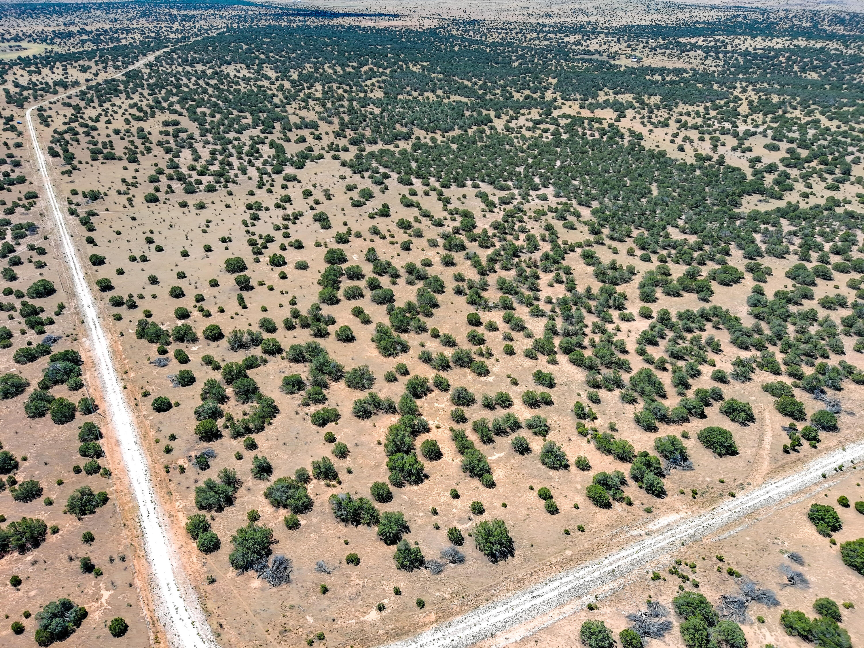 Portrillo Creek Ranch Lot 29, Santa Rosa, New Mexico image 4