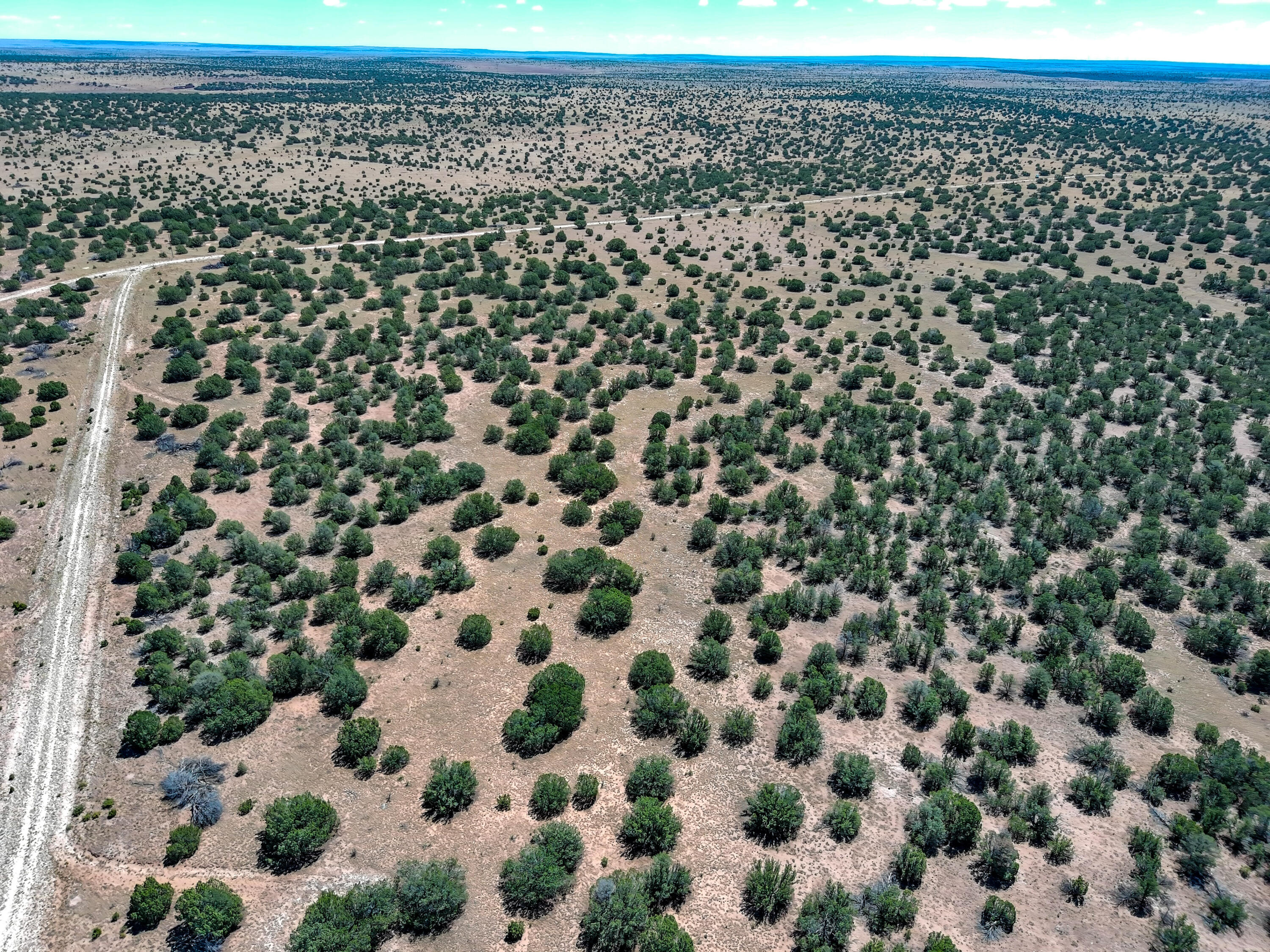 Portrillo Creek Ranch Lot 29, Santa Rosa, New Mexico image 6