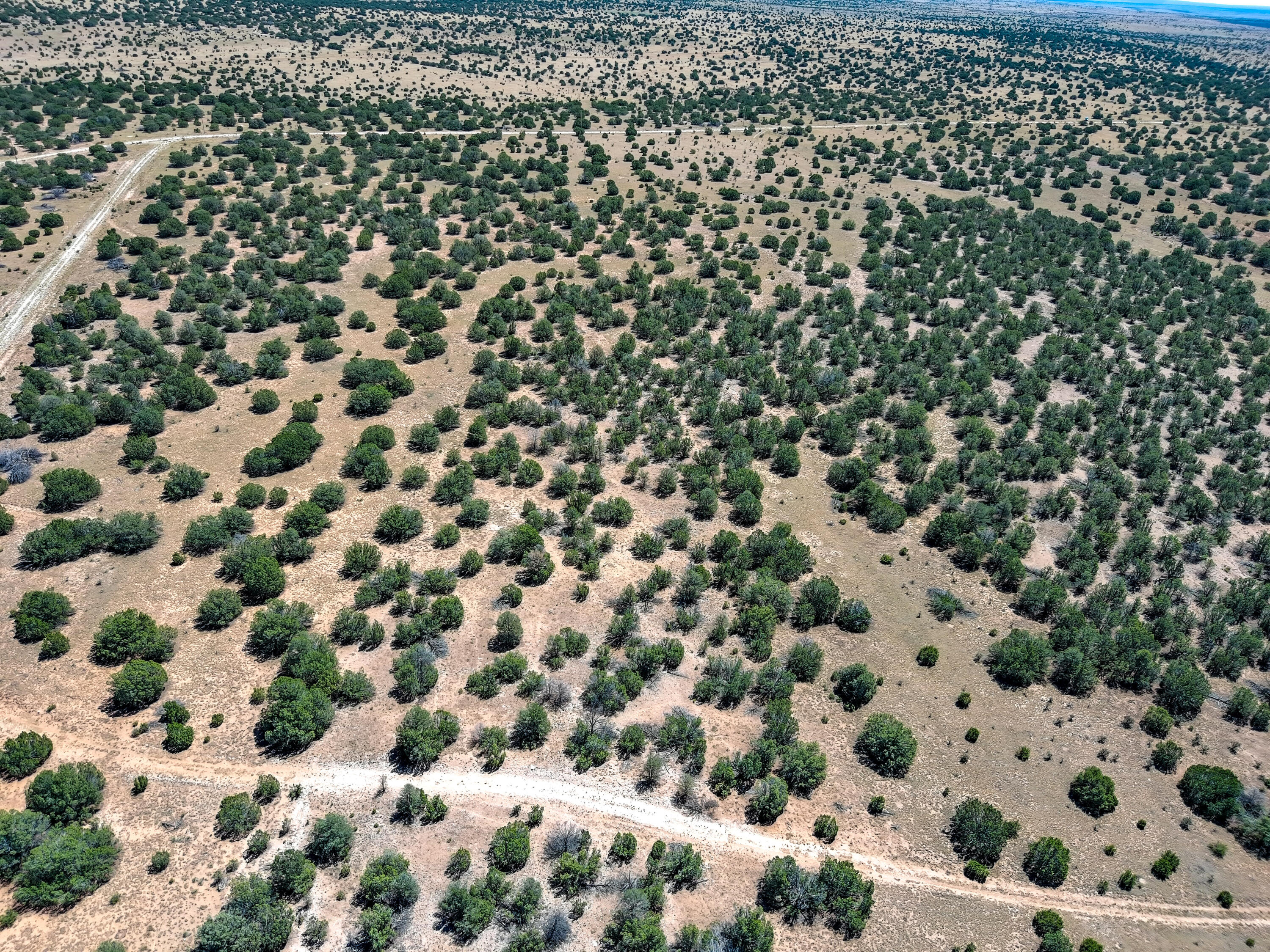 Portrillo Creek Ranch Lot 29, Santa Rosa, New Mexico image 7