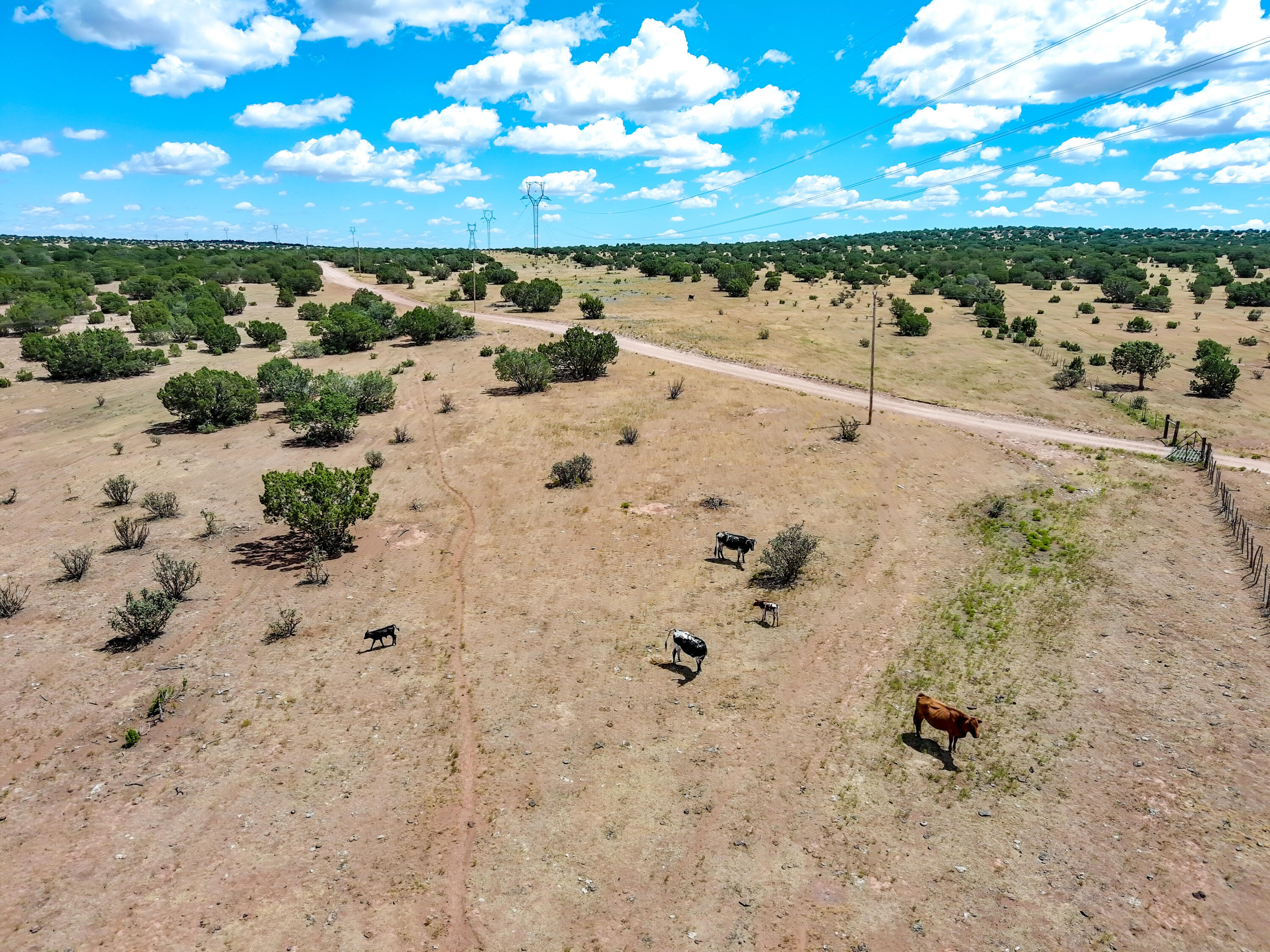 Portrillo Creek Ranch Lot 29, Santa Rosa, New Mexico image 12