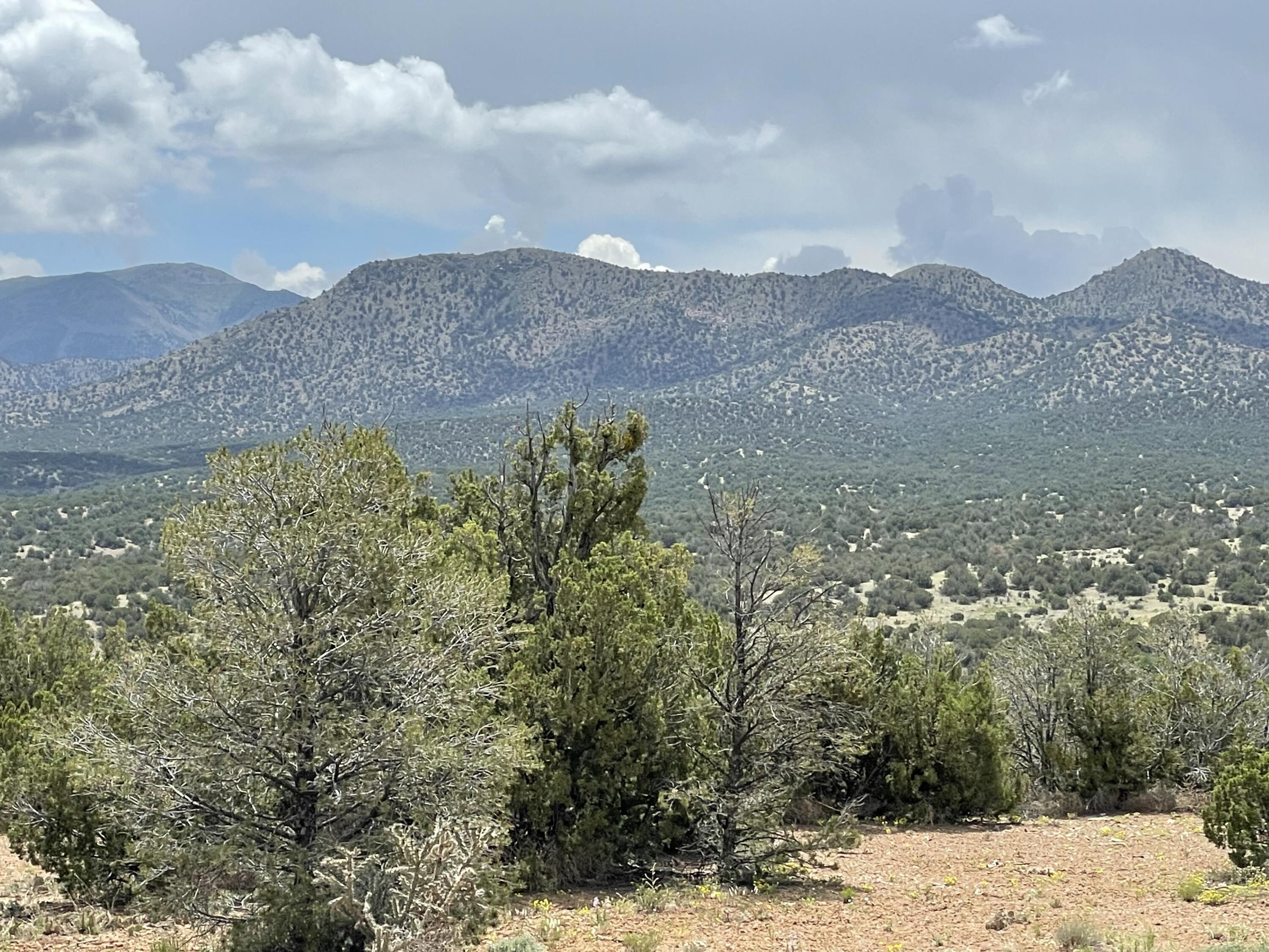 14 Tecolote Court, Sandia Park, New Mexico image 19