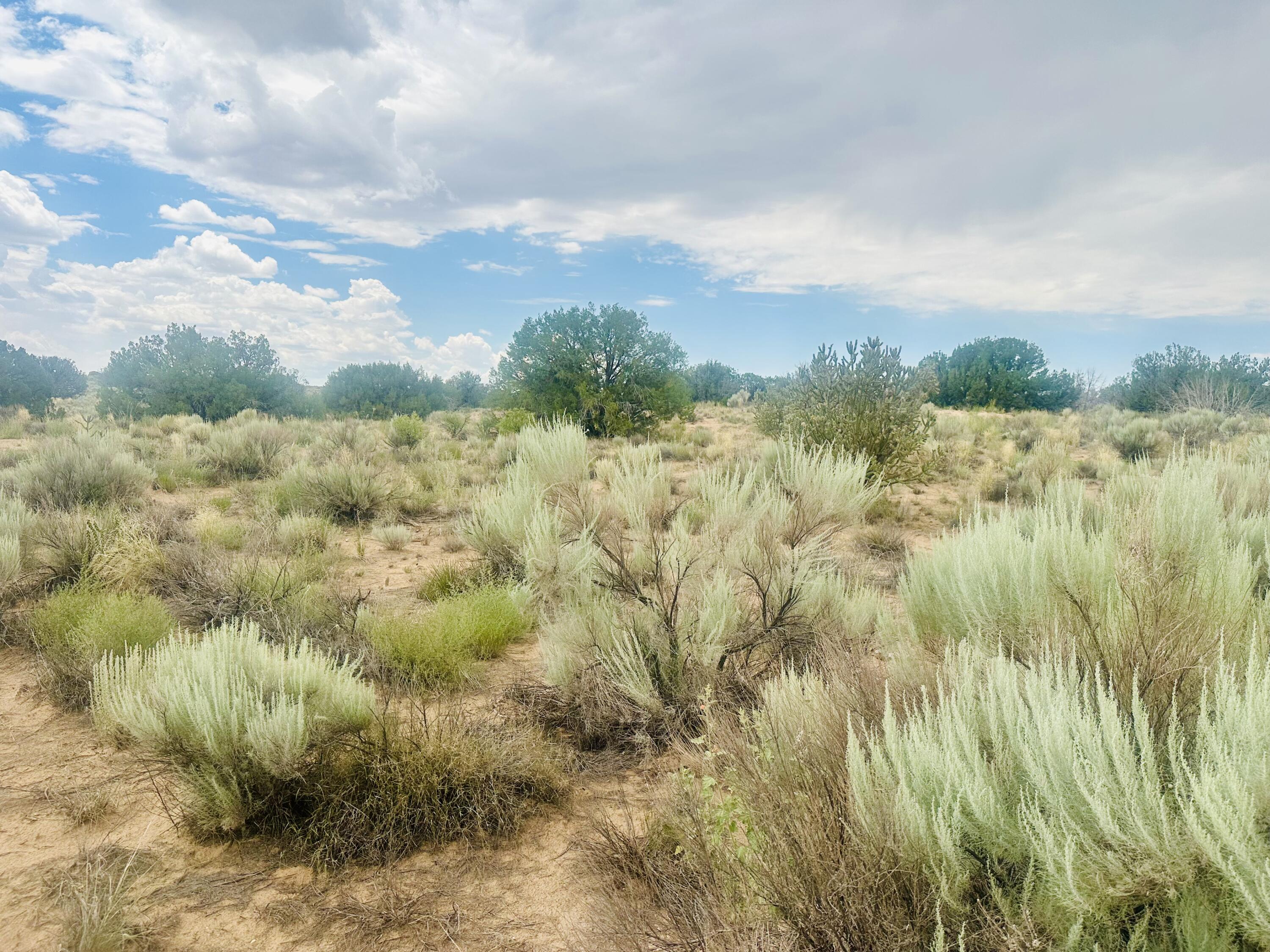 5107 Heller Court, Rio Rancho, New Mexico image 6