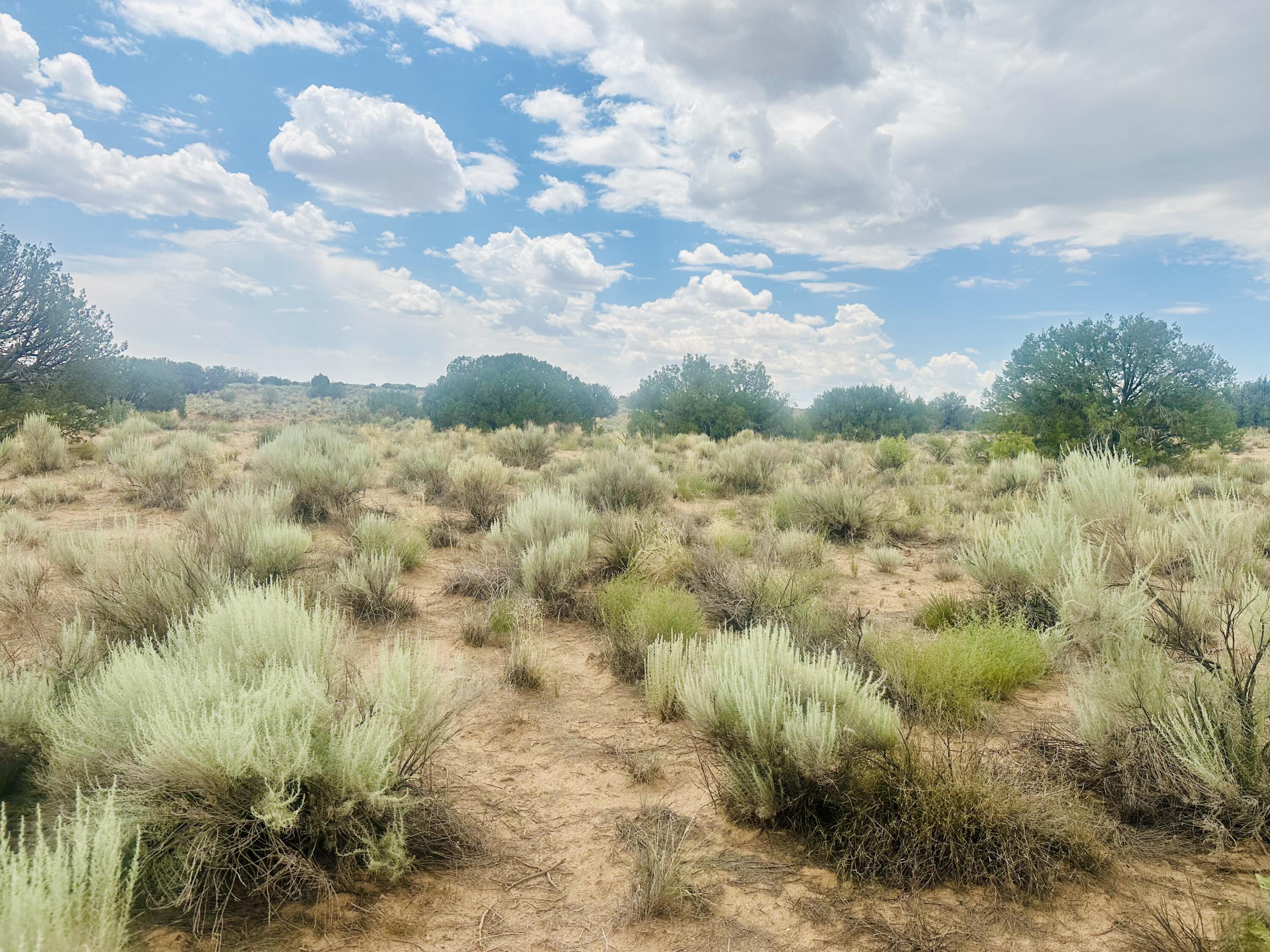 5107 Heller Court, Rio Rancho, New Mexico image 5