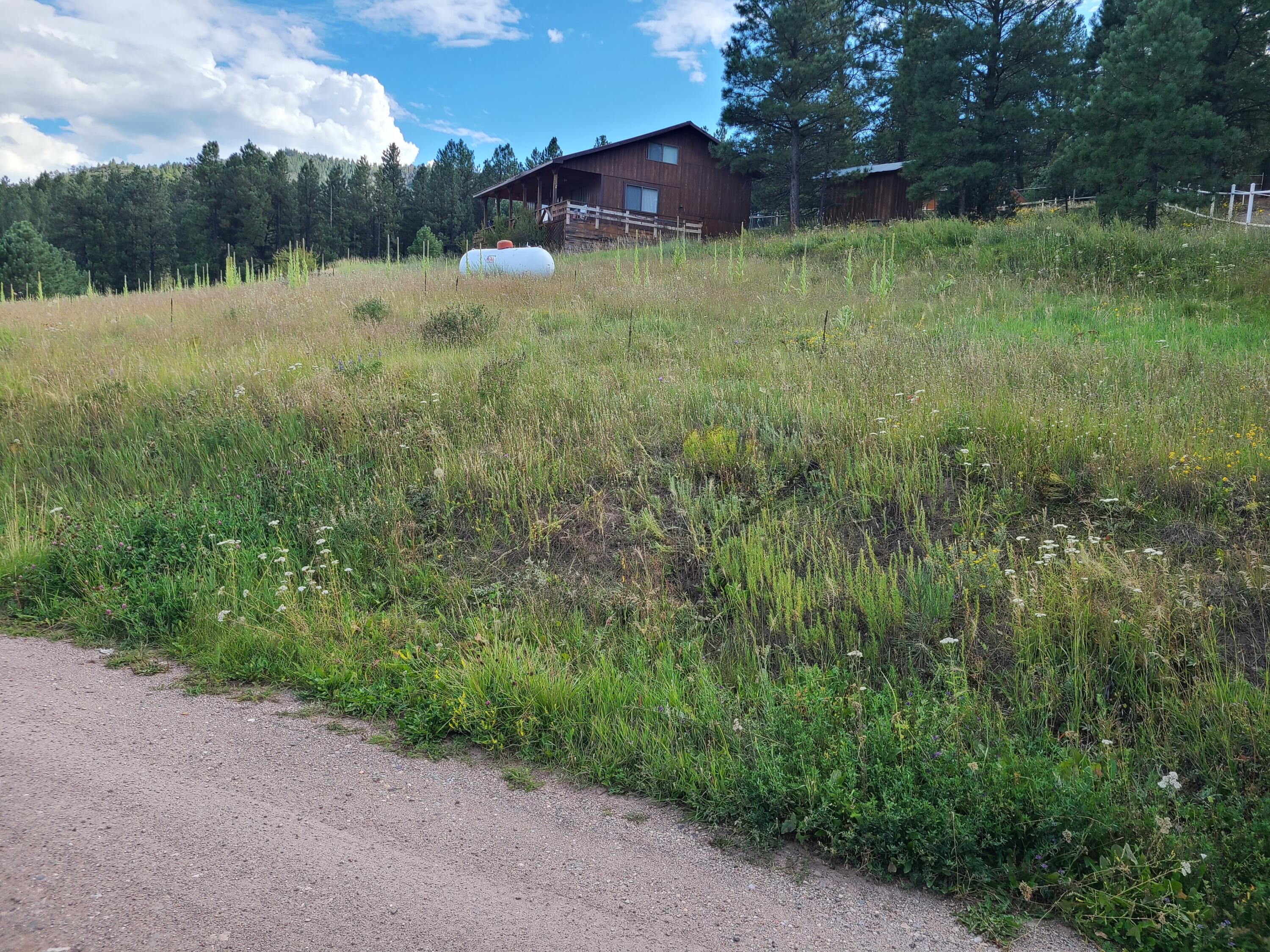 71 Escondido Pt, Jemez Springs, New Mexico image 1