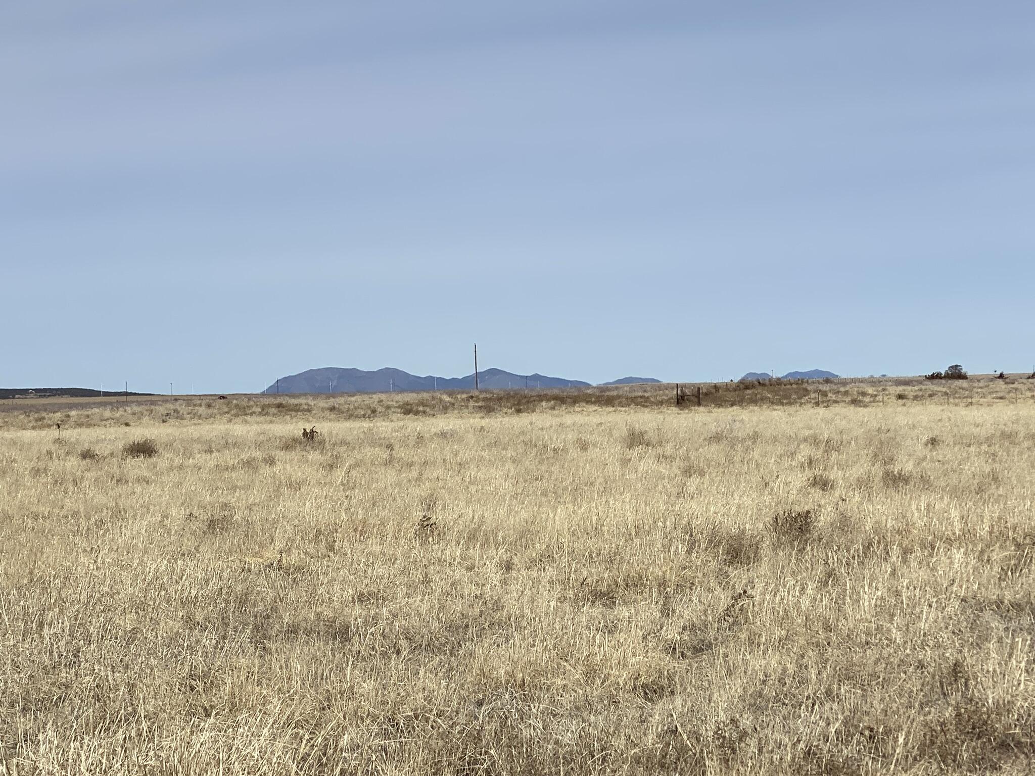 Willow Lake Road, McIntosh, New Mexico image 1