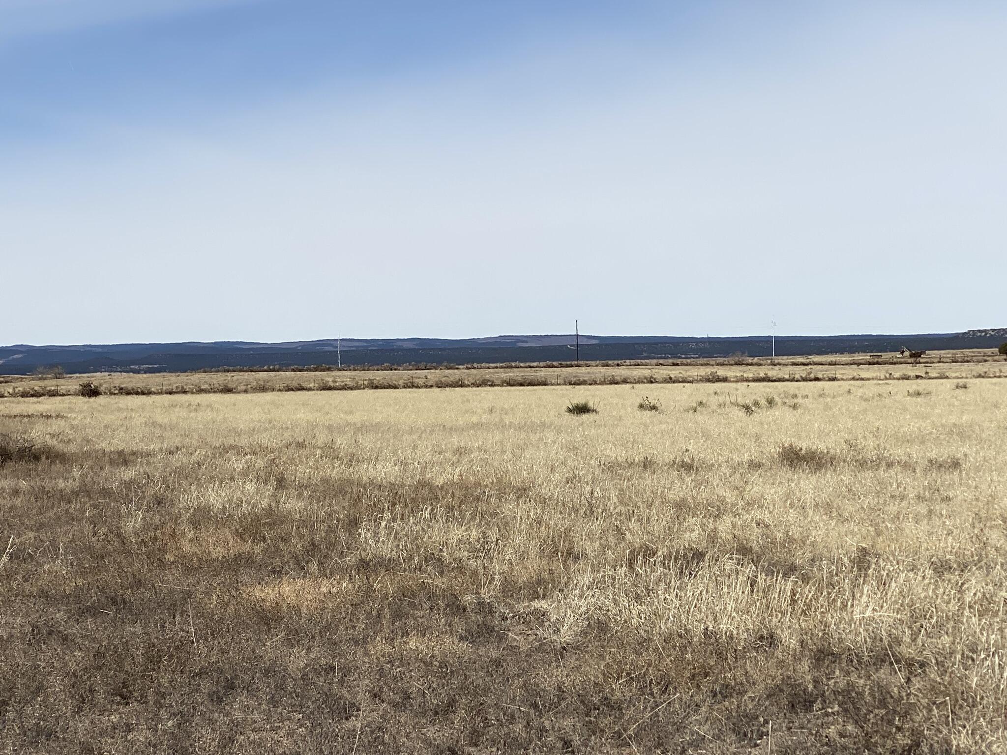 Willow Lake Road, McIntosh, New Mexico image 2