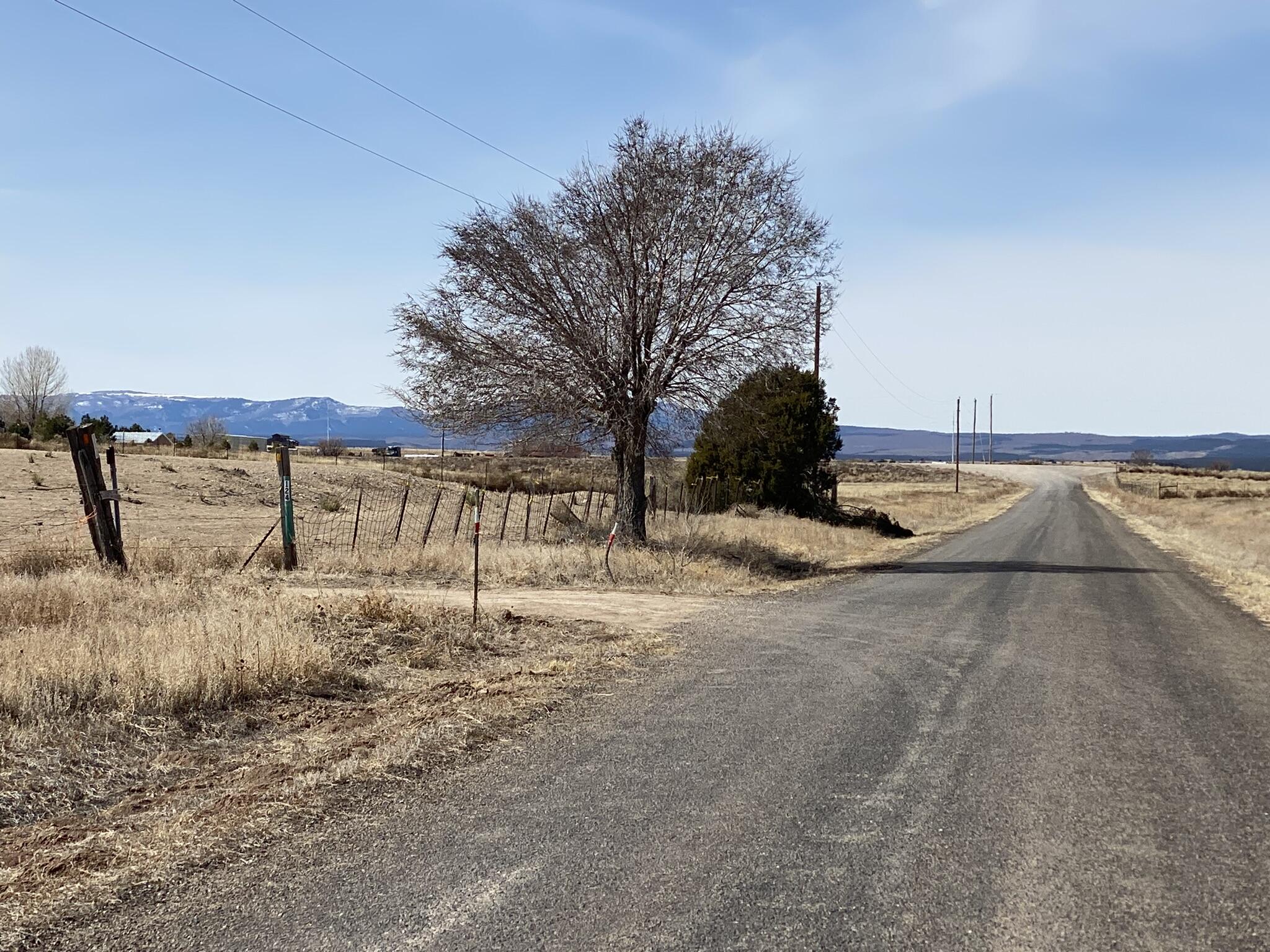 Willow Lake Road, McIntosh, New Mexico image 4