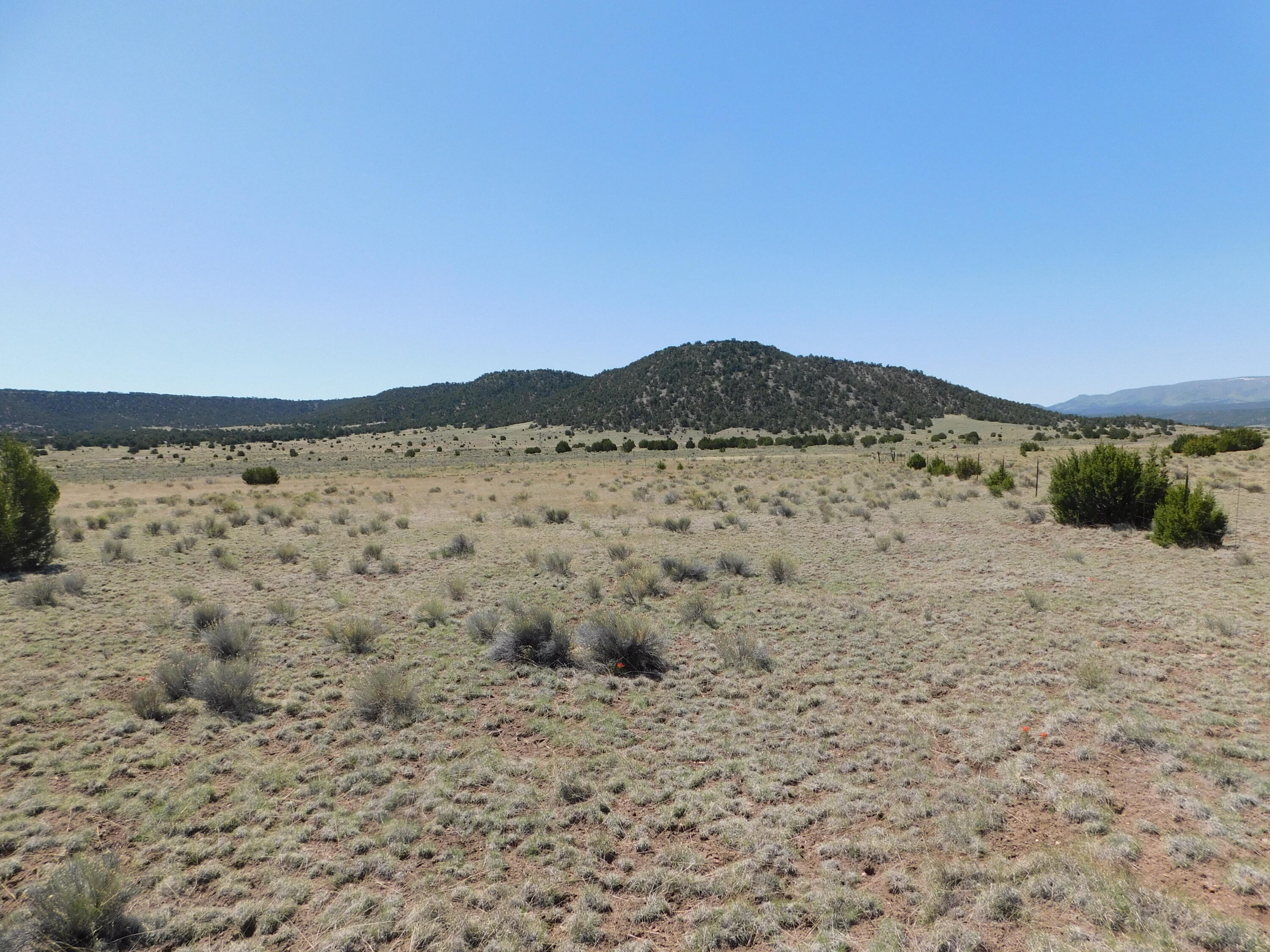 70 Ac S Coyote Trail, Quemado, New Mexico image 7