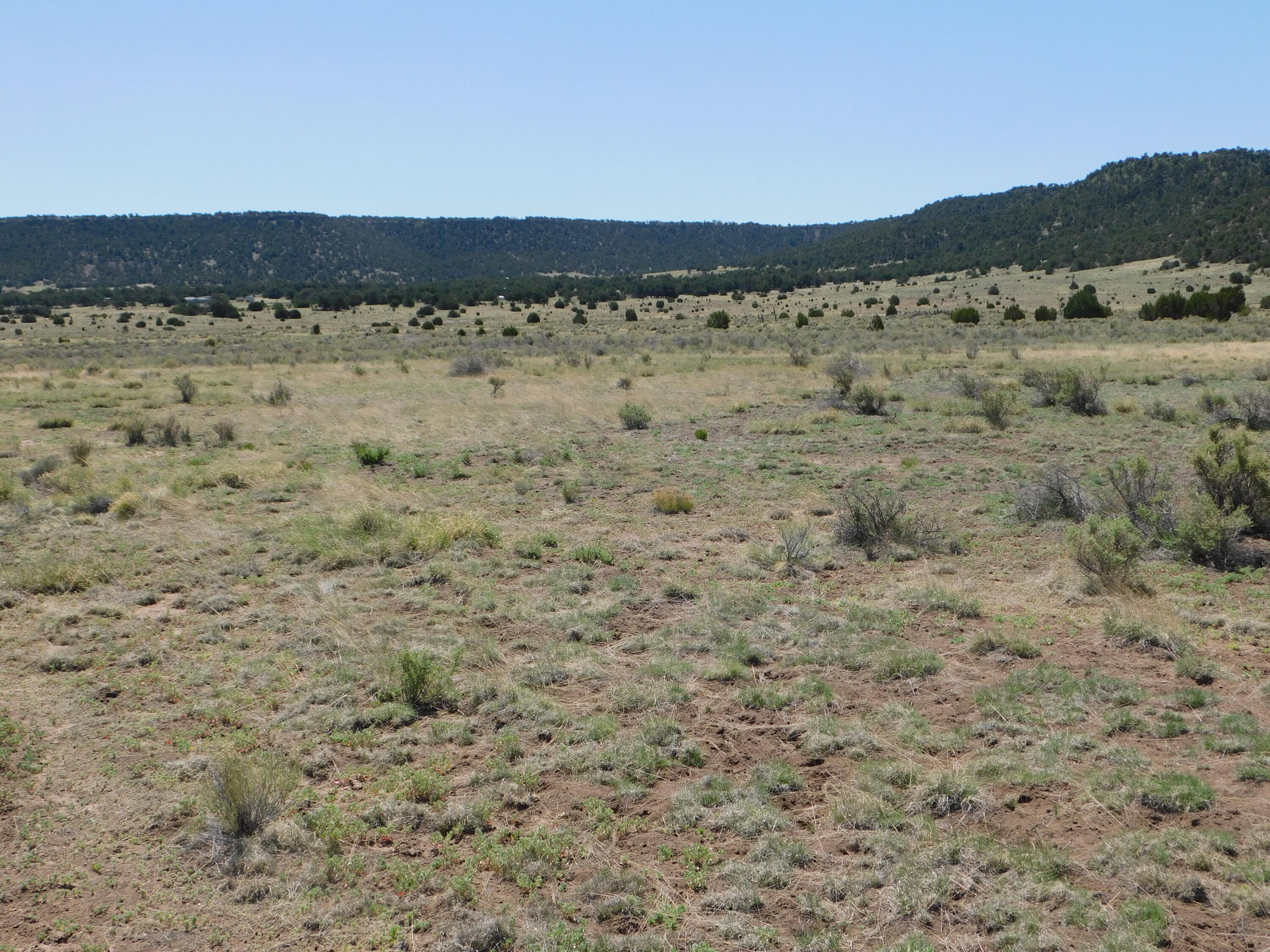 70 Ac S Coyote Trail, Quemado, New Mexico image 10