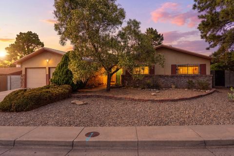 9507 Lagrima De Oro Road NE Albuquerque NM 87111