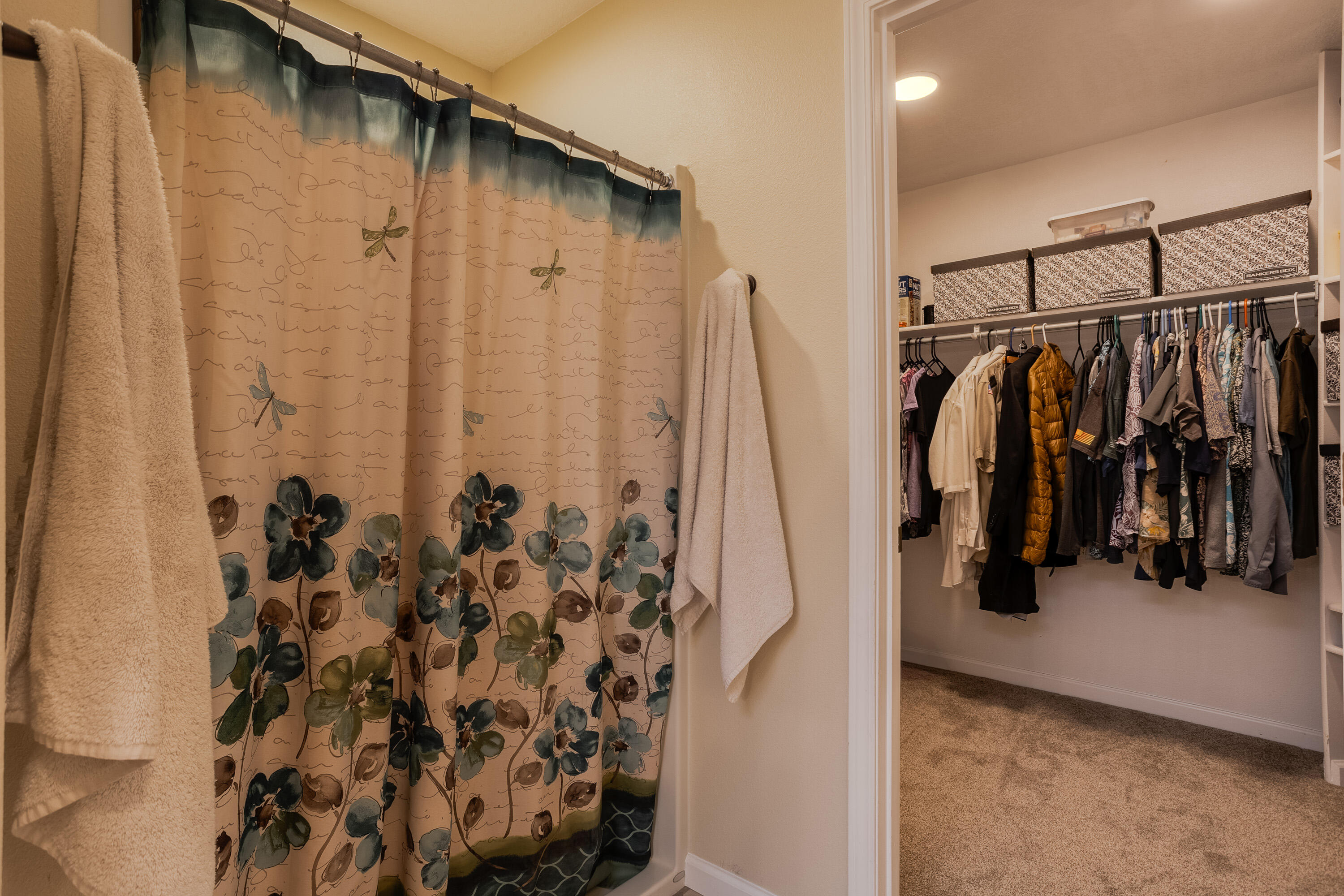 39 Sandia Haven Drive, Cedar Crest, New Mexico image 29