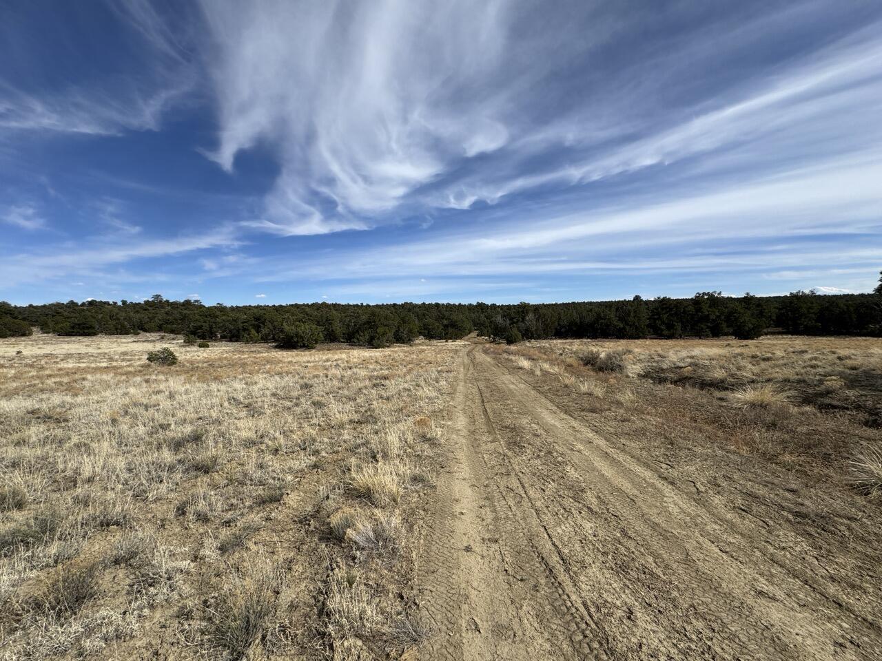 72 Coyote Canyon Road, Ramah, New Mexico image 14